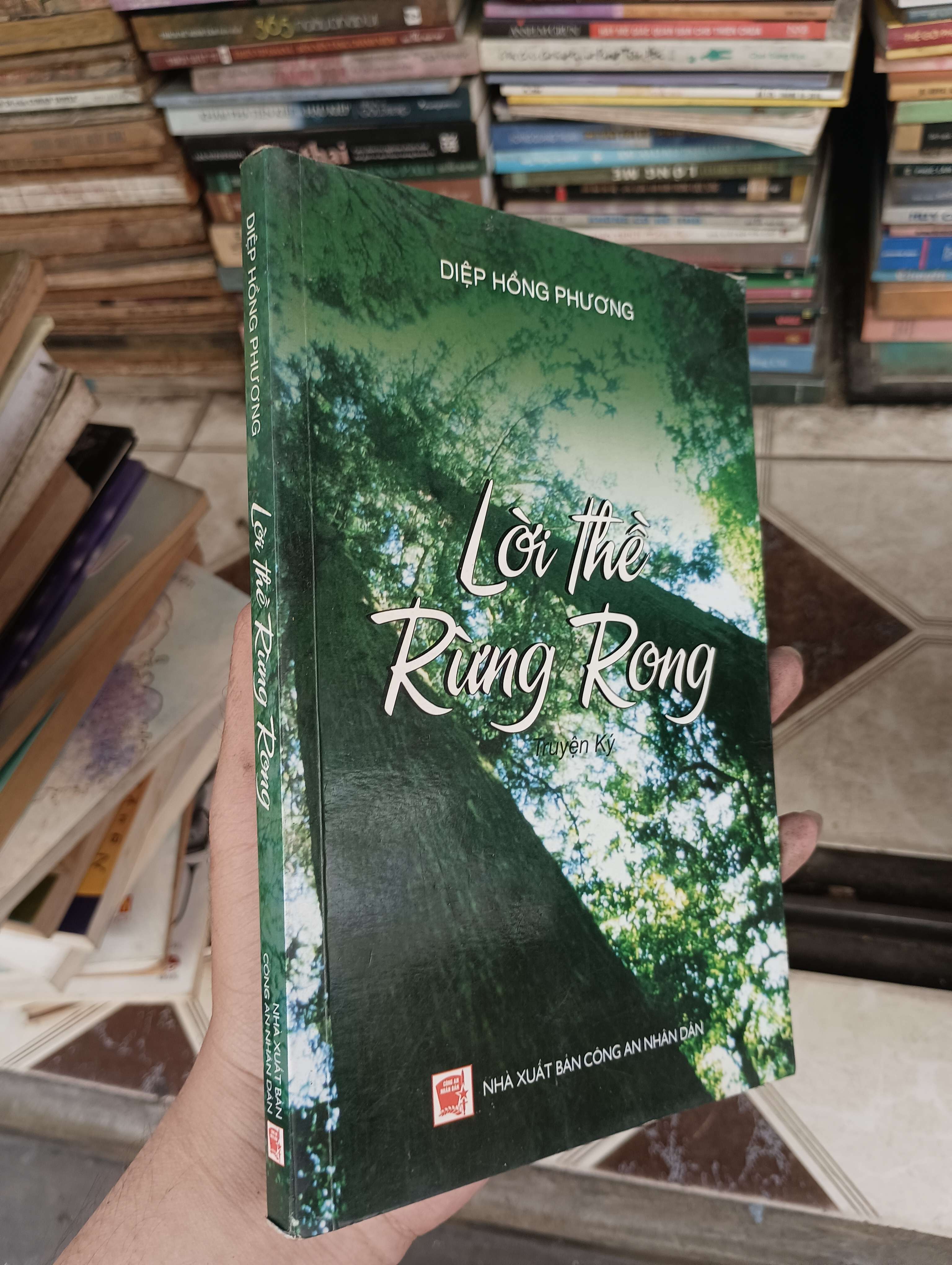 Lời Thề Rừng Rong - Diệp Hồng Phương 2017 (Sách văn học) BGB