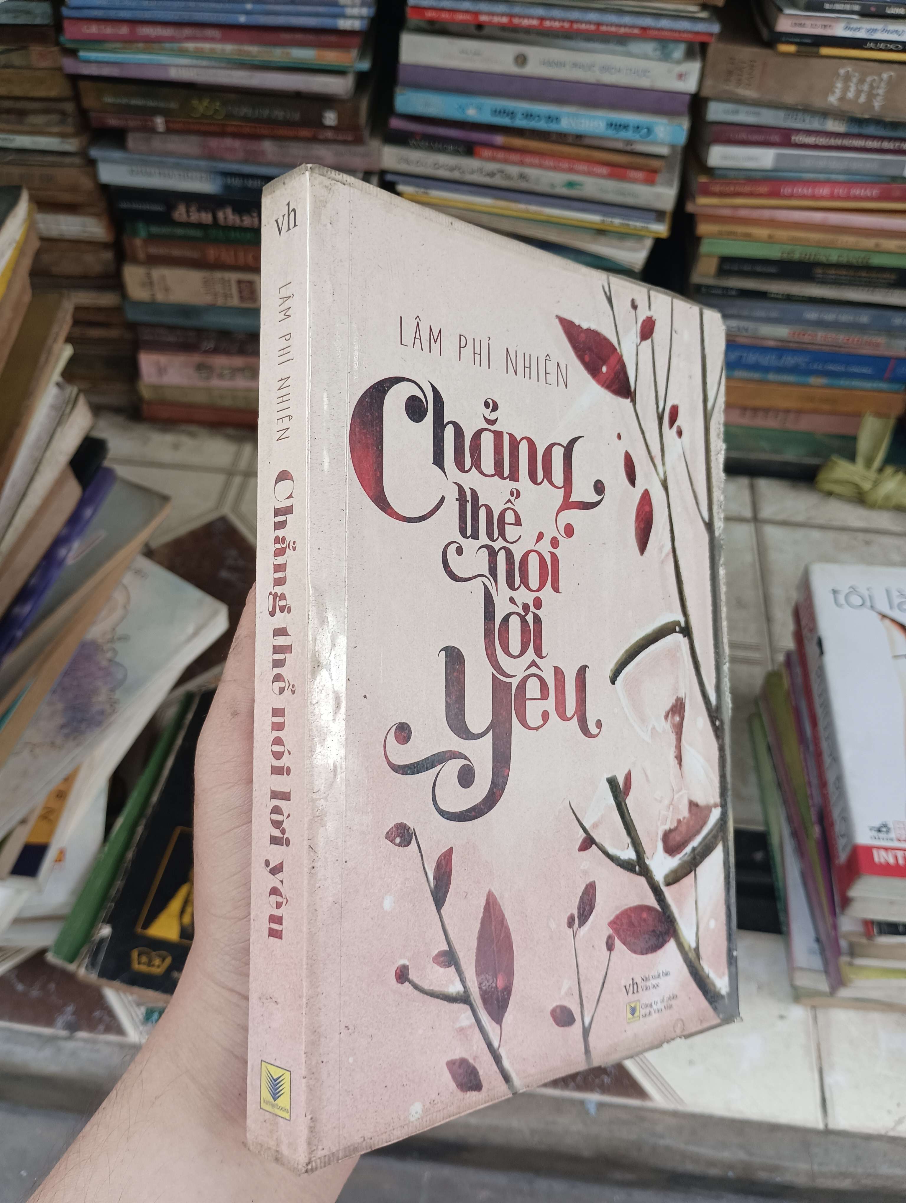 Chẳng thể nói lời yêu - Lâm Phi Nhiên 2014 (Tiểu Thuyết) BGB
