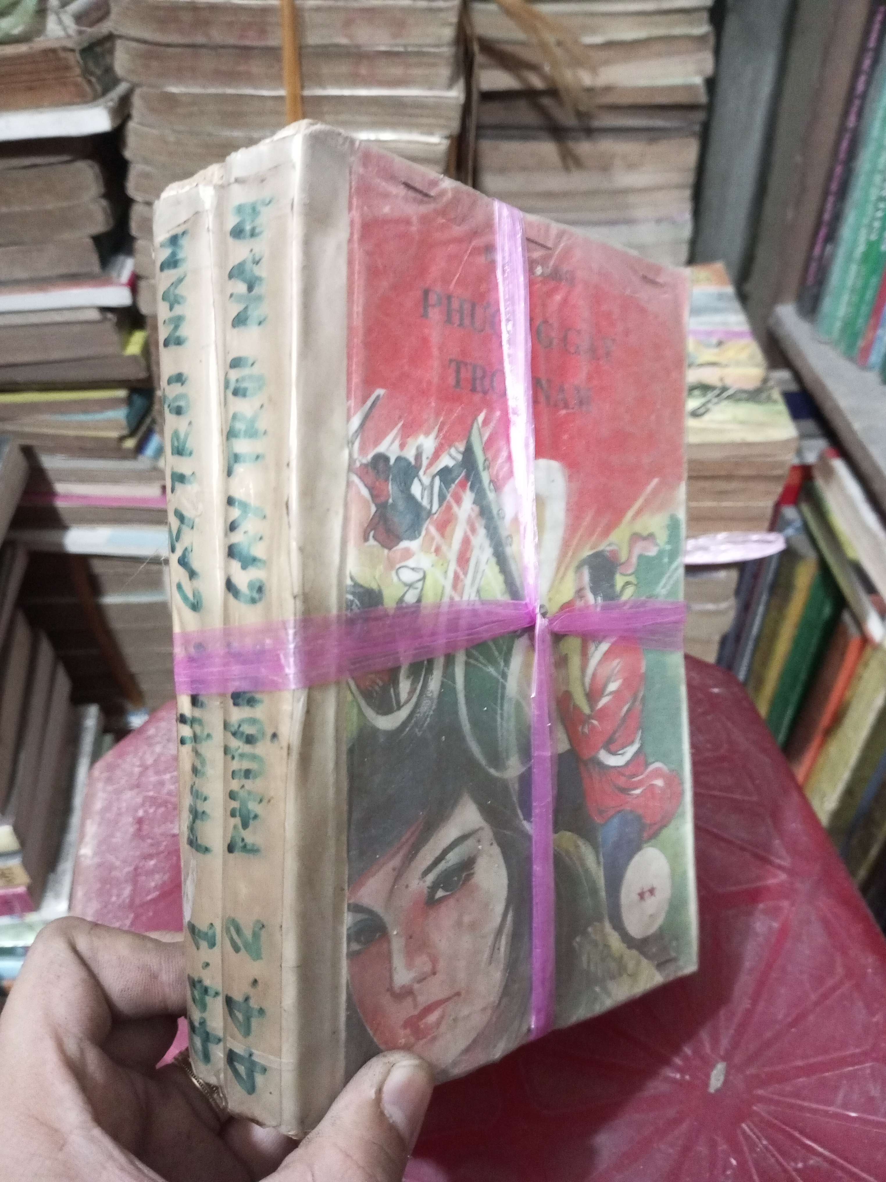 2 cuốn Phượng Gáy Trời Nam - Nhất Giang (Văn học nước ngoài) BGB
