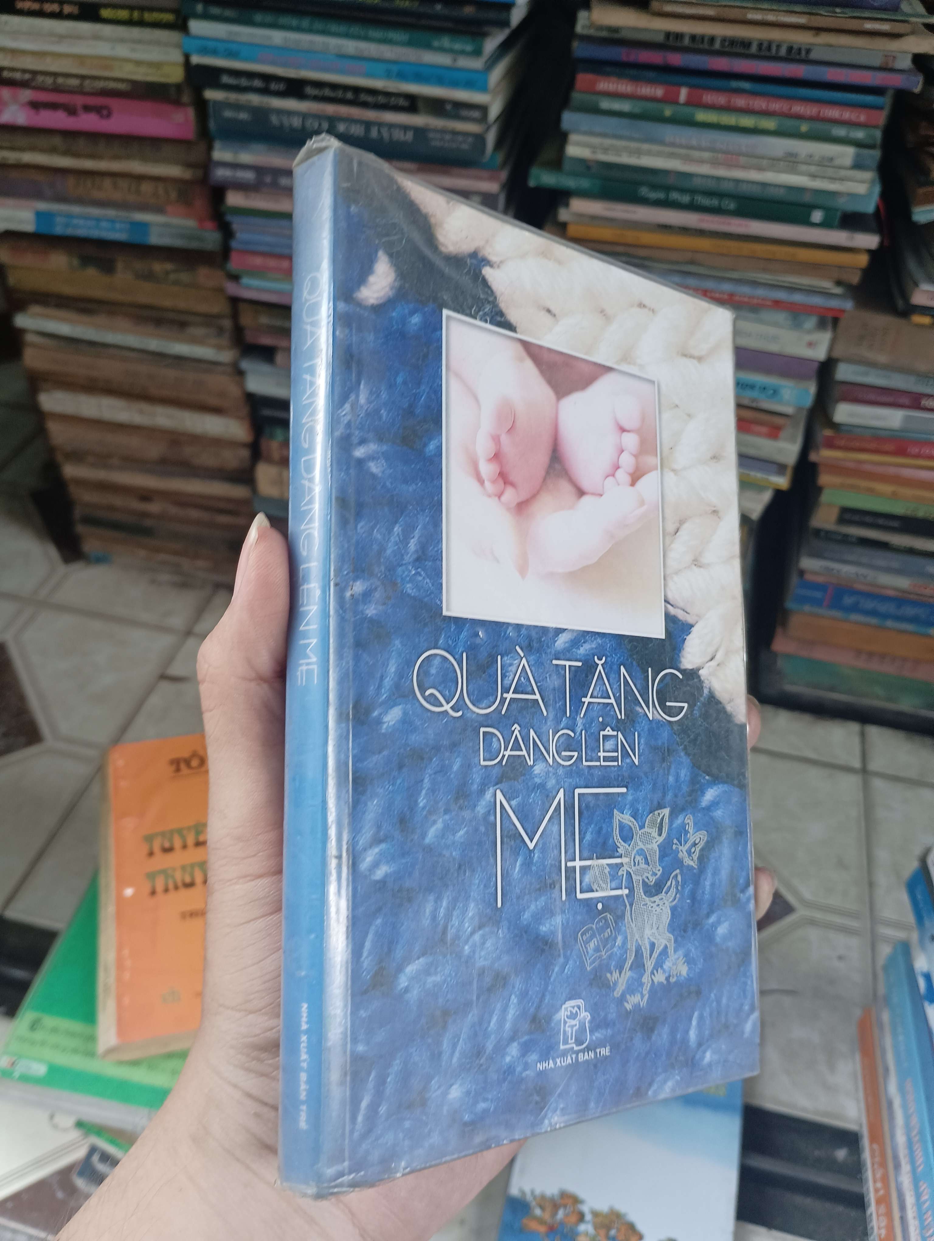 Quà Tặng Dâng Lên Mẹ 2009 (Sách văn học) BGB