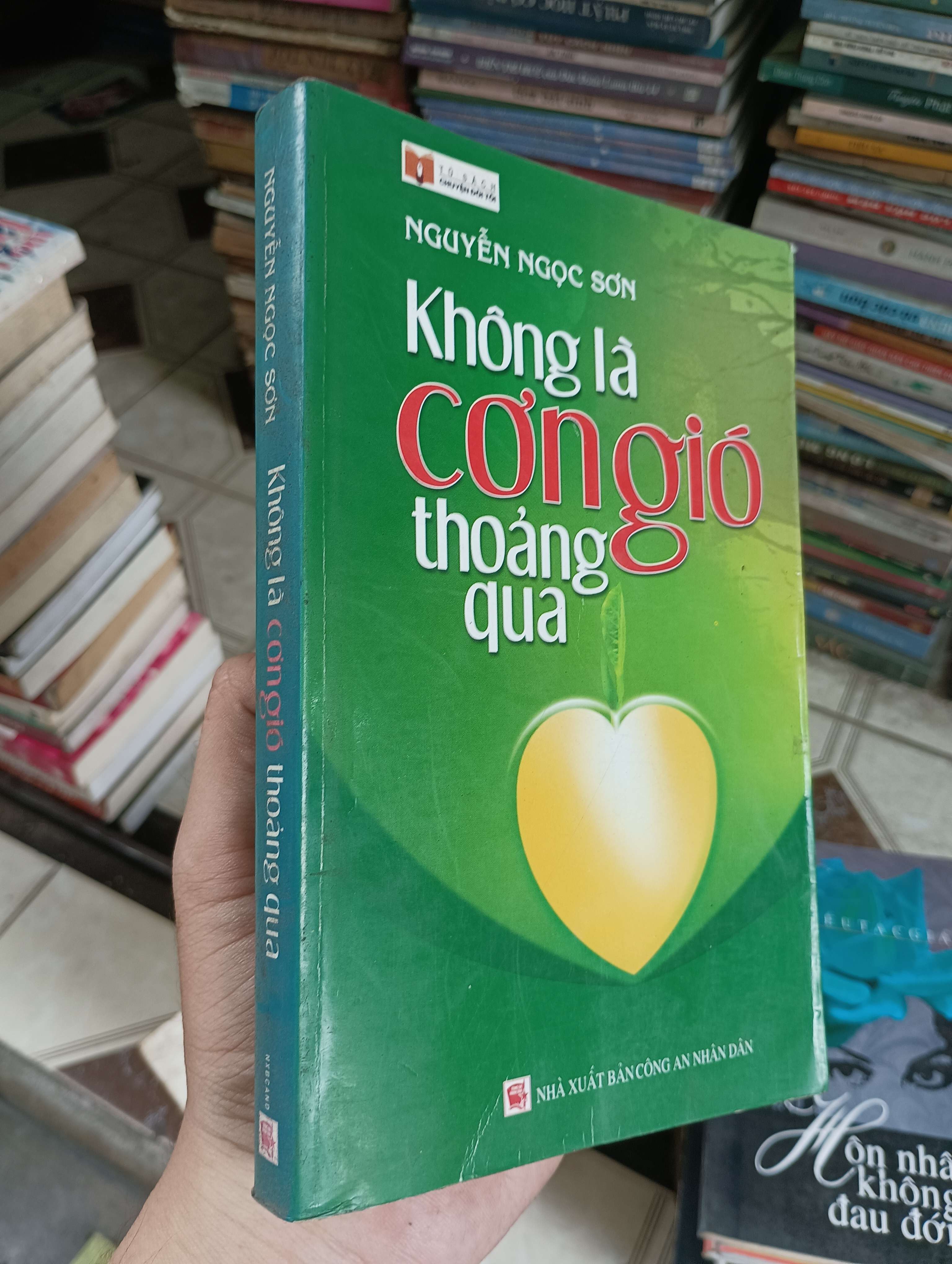Không là cơn gió thoảng qua - Nguyễn Ngọc Sơn 2009 (Tiểu Thuyết) BGB
