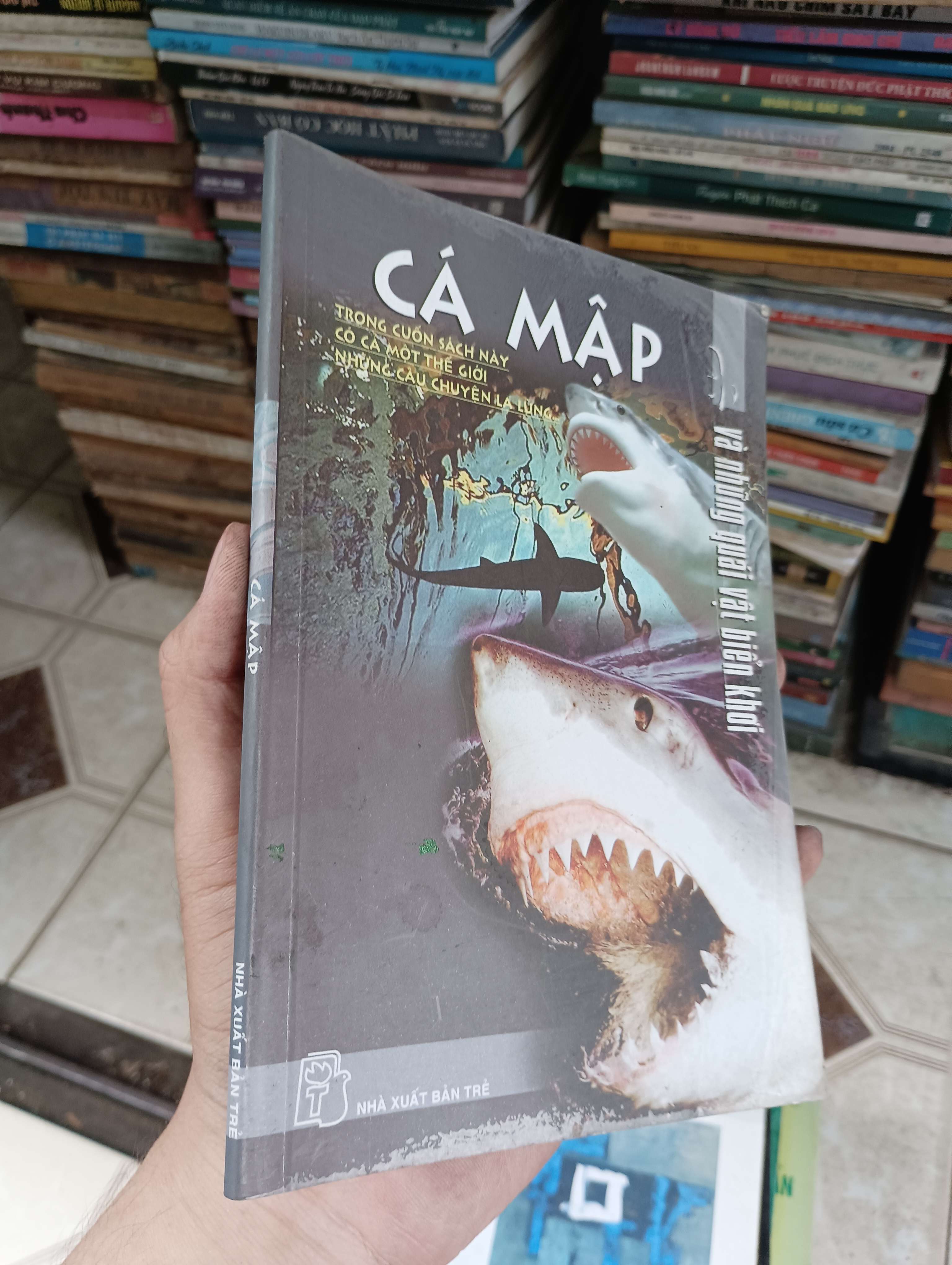 Cá Mập và những quái vật biển khơi (Sách kiến thức tổng hợp) BGB