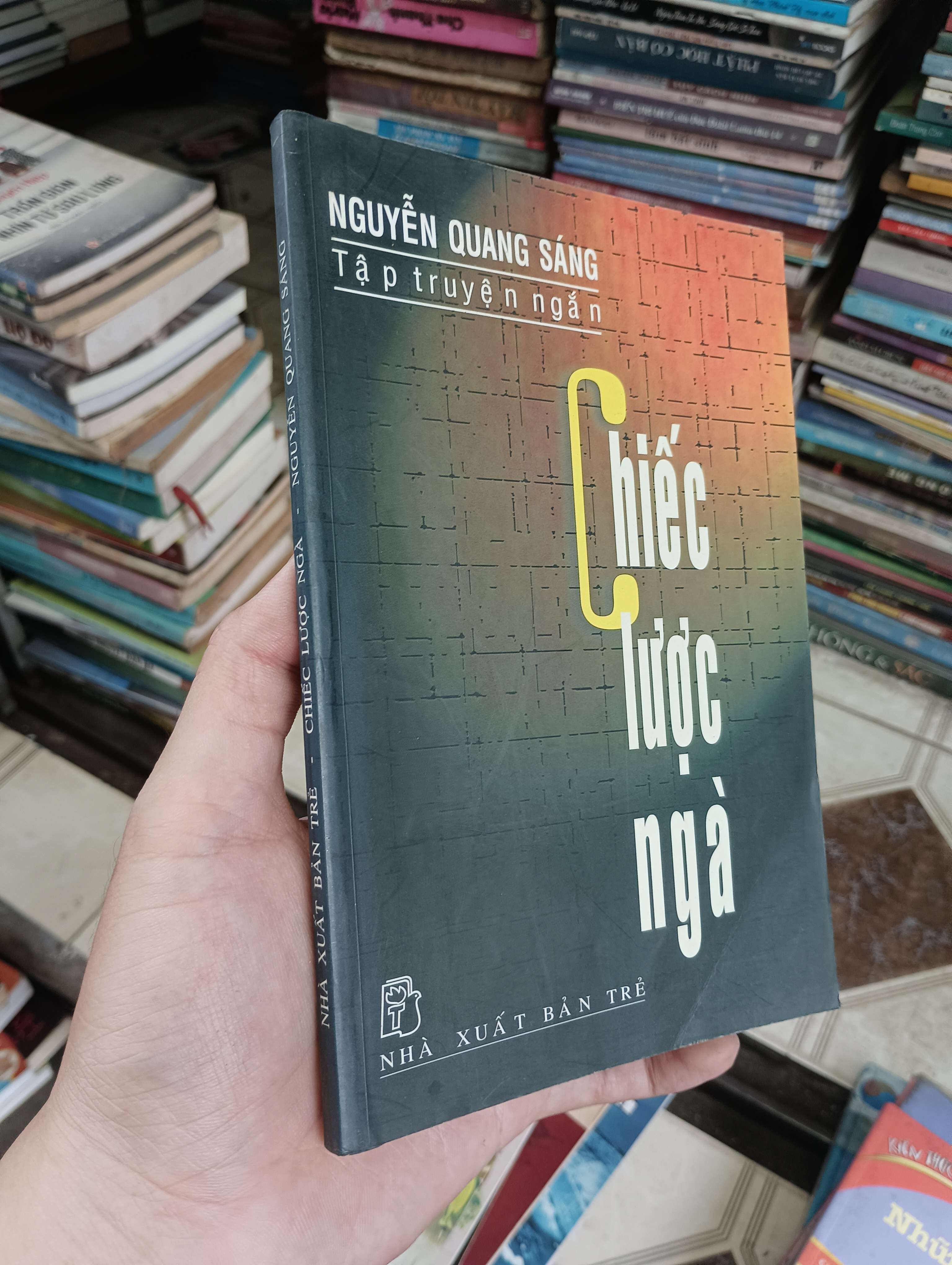 Chiếc lược ngà - Nguyễn Quang Sáng 2004 (Văn học Việt Nam) BGB