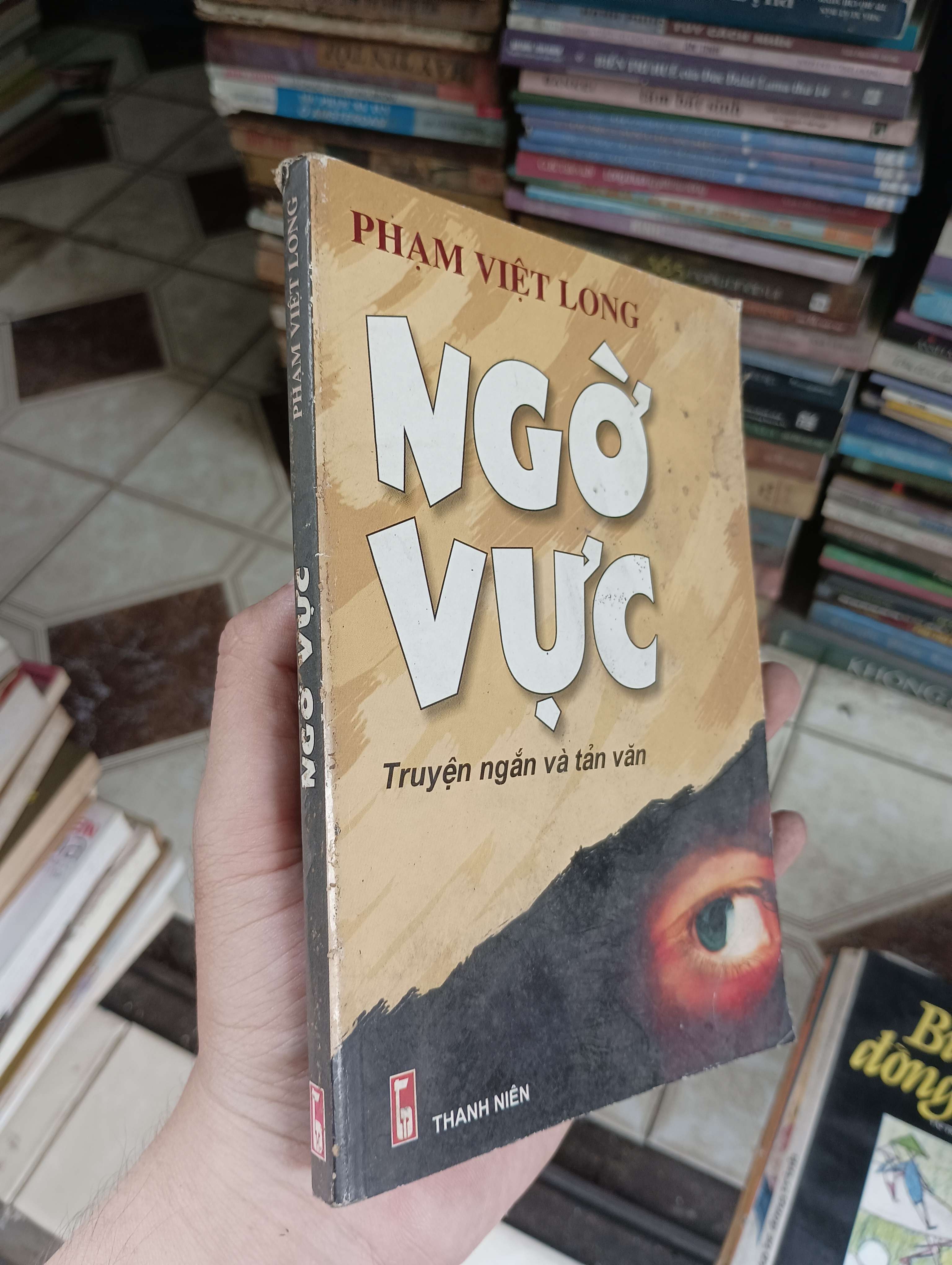 Ngờ vực - Phạm Việt Long 2007 (Truyện Ngắn) BGB