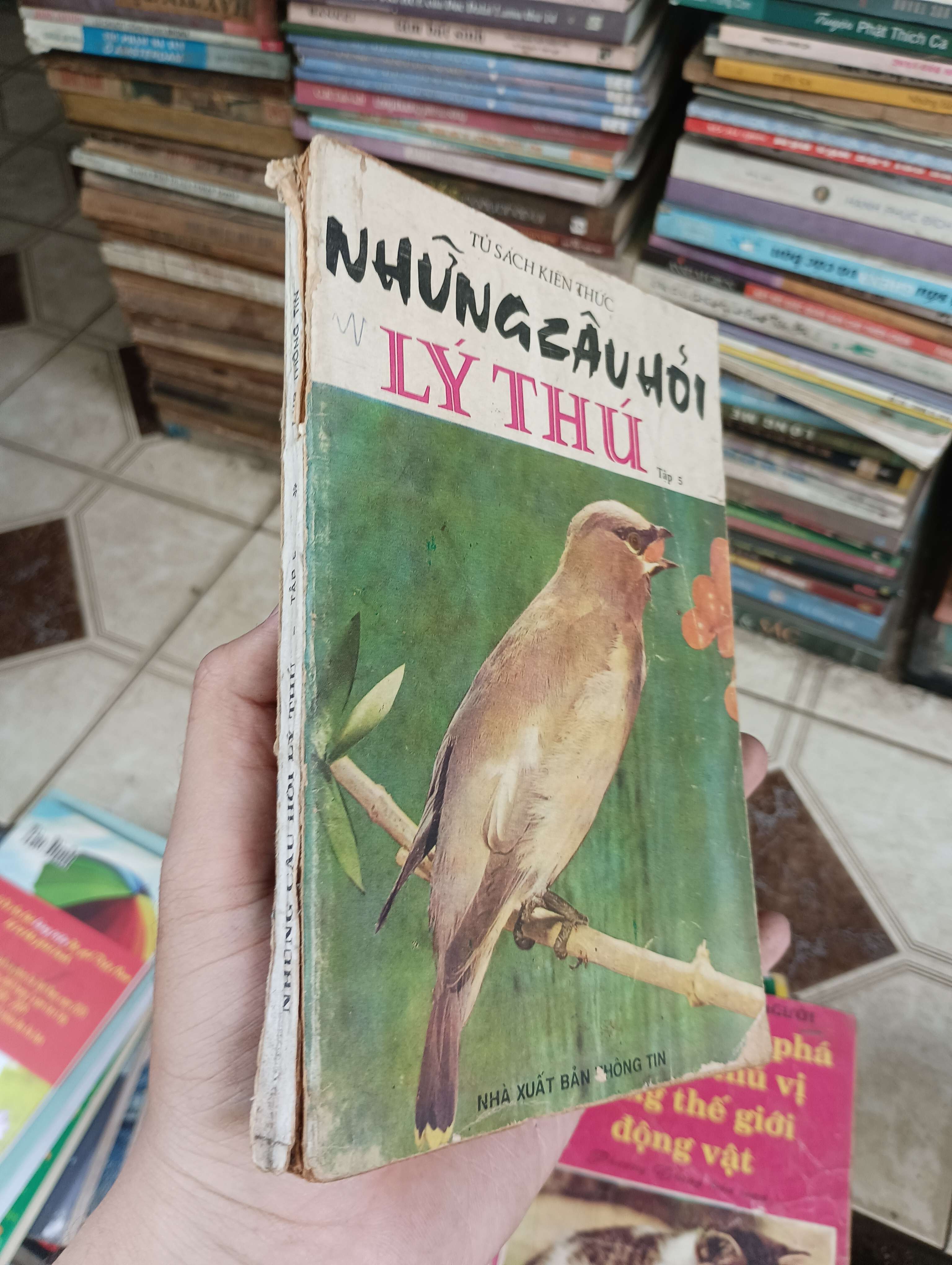 Những Câu Hỏi Lý Thú (Sách văn học) BGB