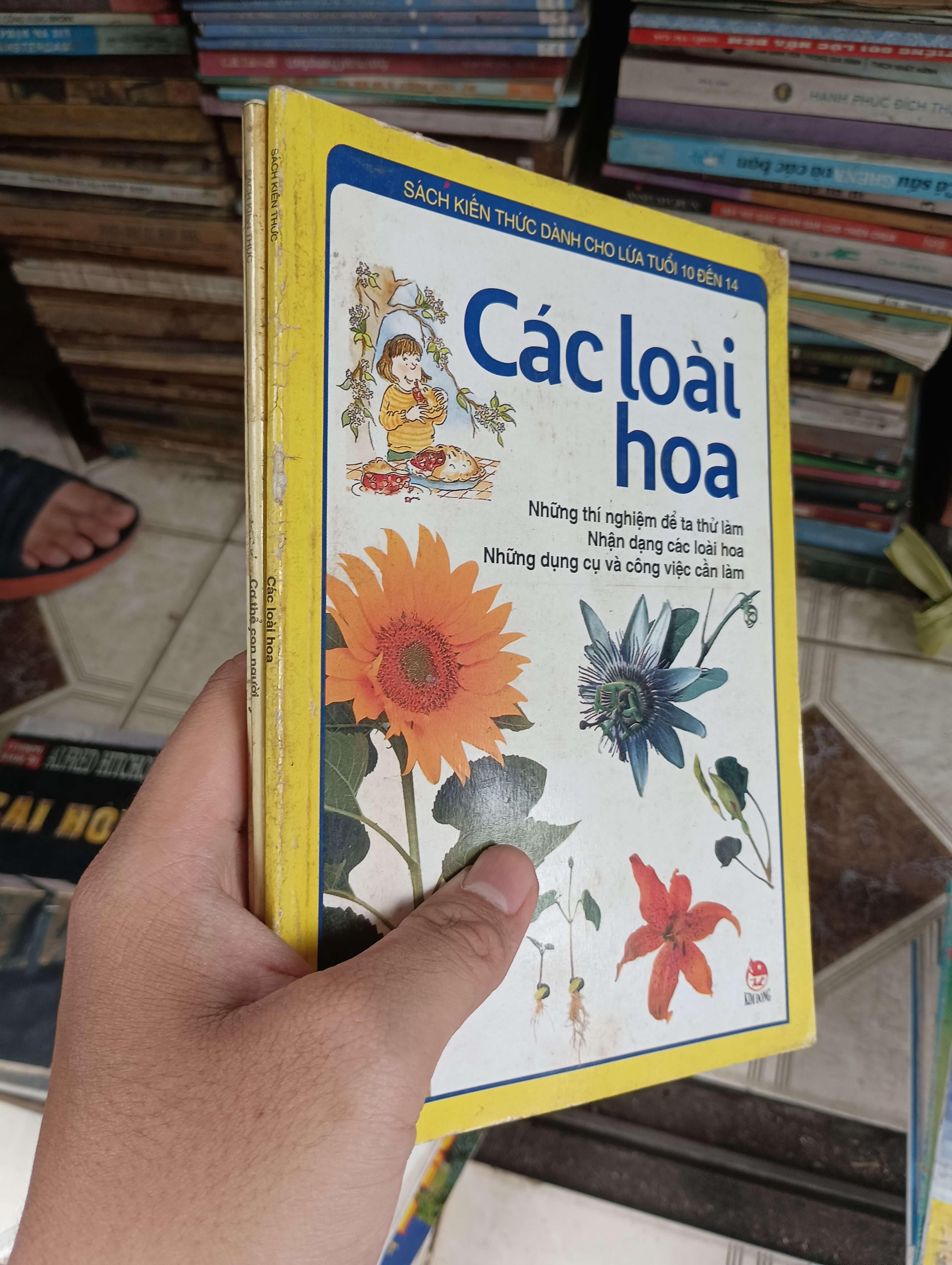 Các loài hoa 2003 (Sách kiến thức tổng hợp) BGB