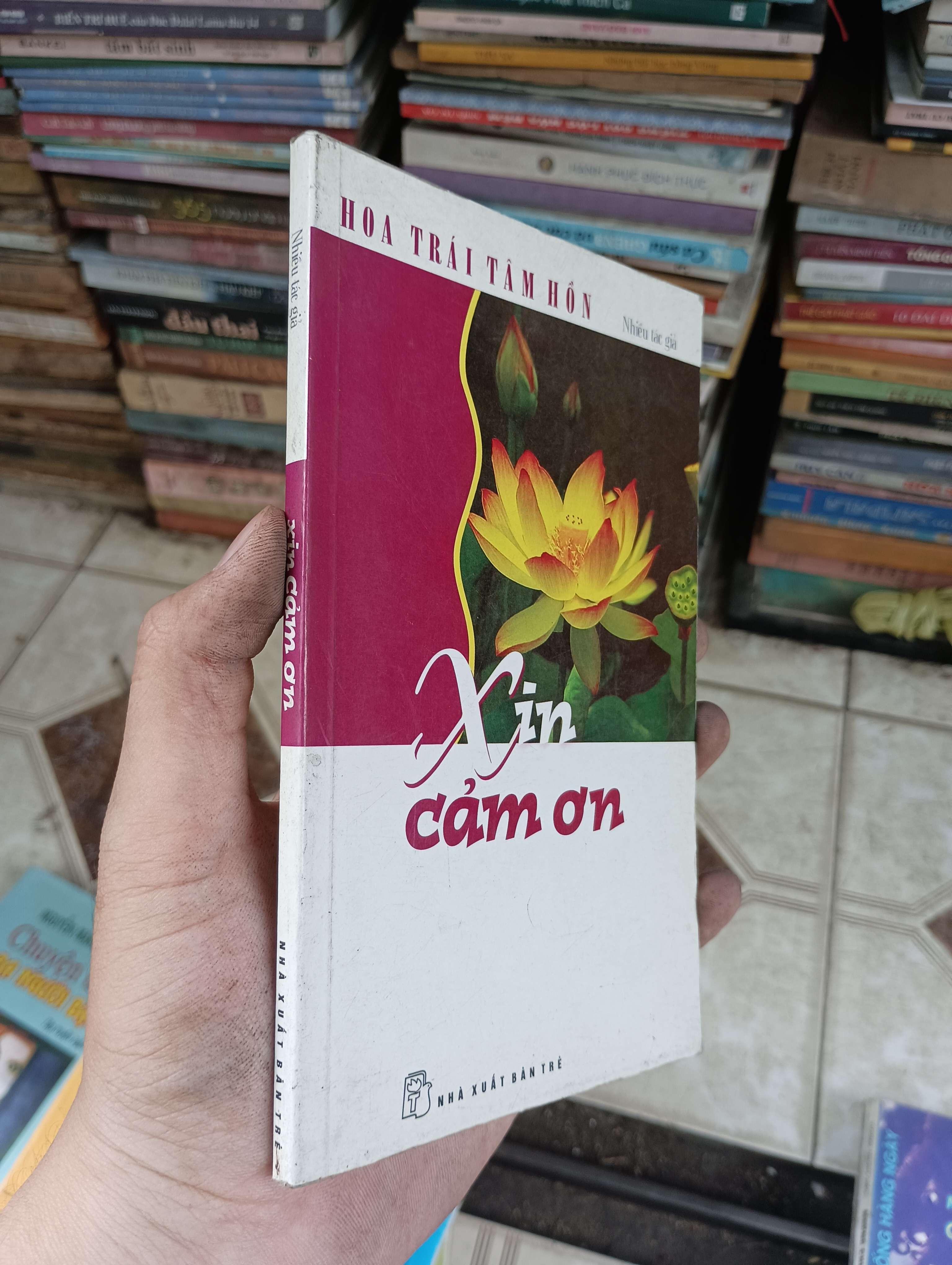 Hoa Trái Tâm Hồn - Xin Cảm Ơn (Chữa lành) BGB