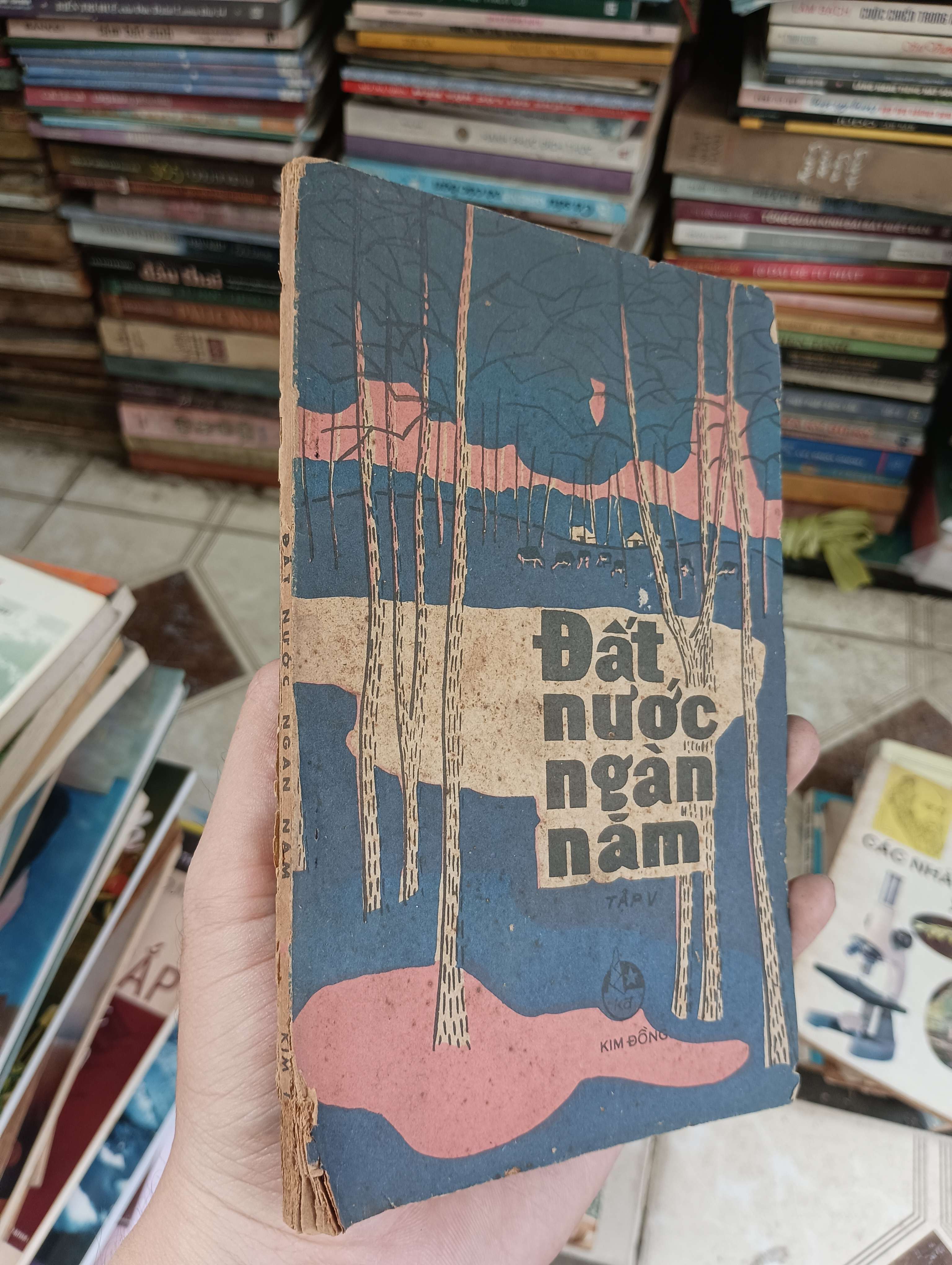 Đất nước ngàn năm (Tập V) 1979 (Sách văn học) BGB