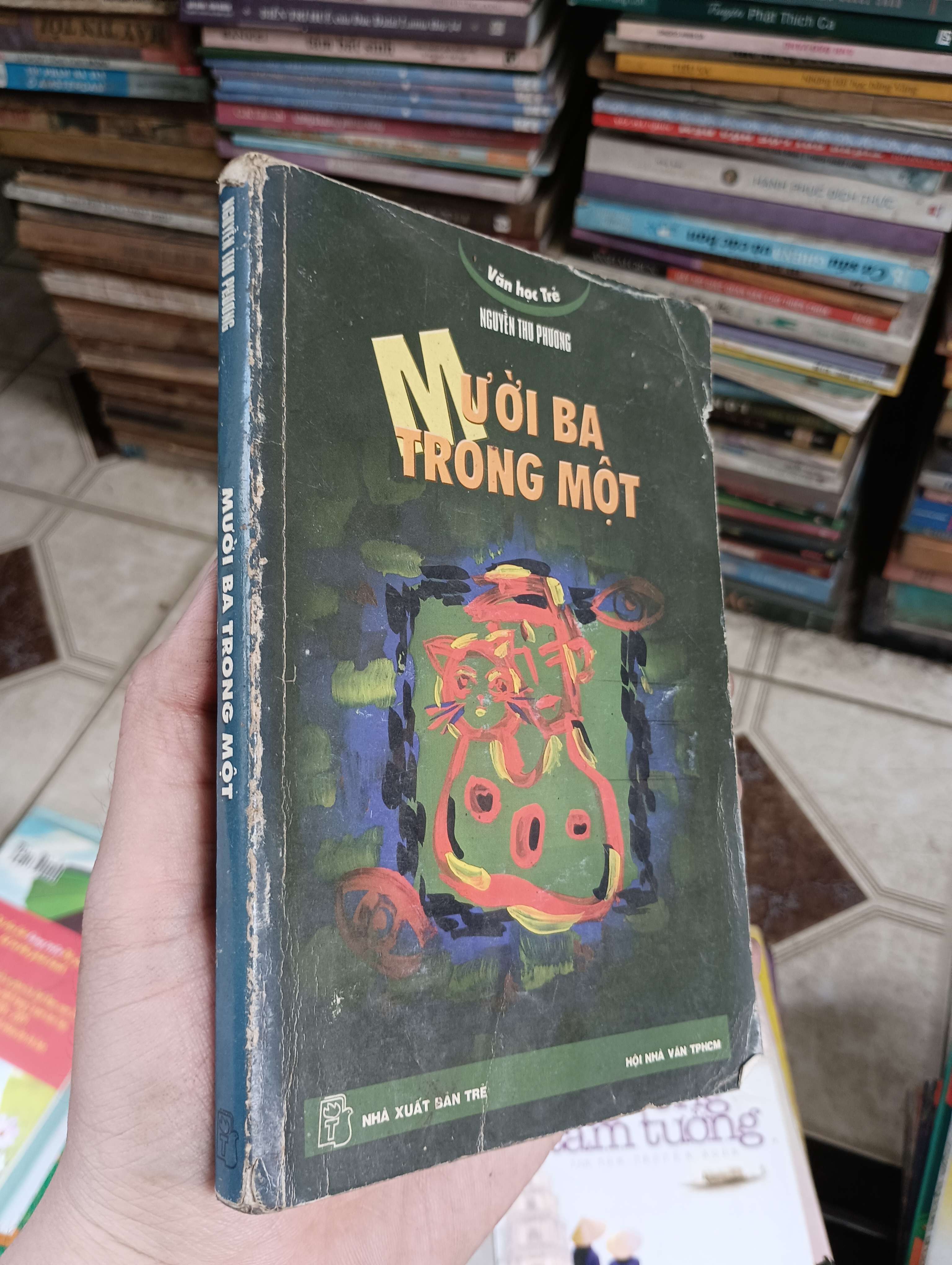 Mười Ba Trong Một - Nguyễn Thu Phương (Sách văn học) BGB