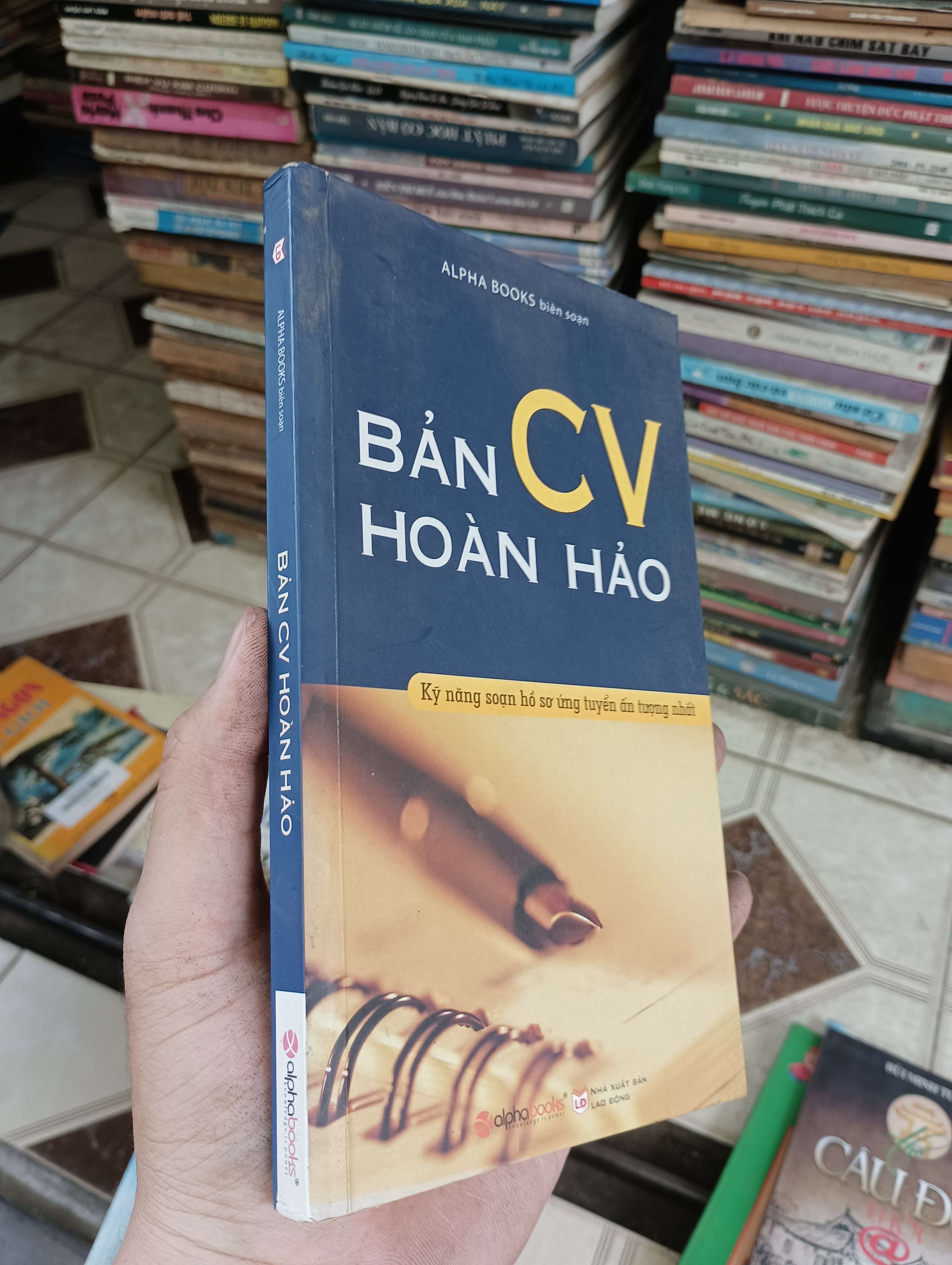 Bản CV Hoàn Hảo (Kỹ năng sống) BGB