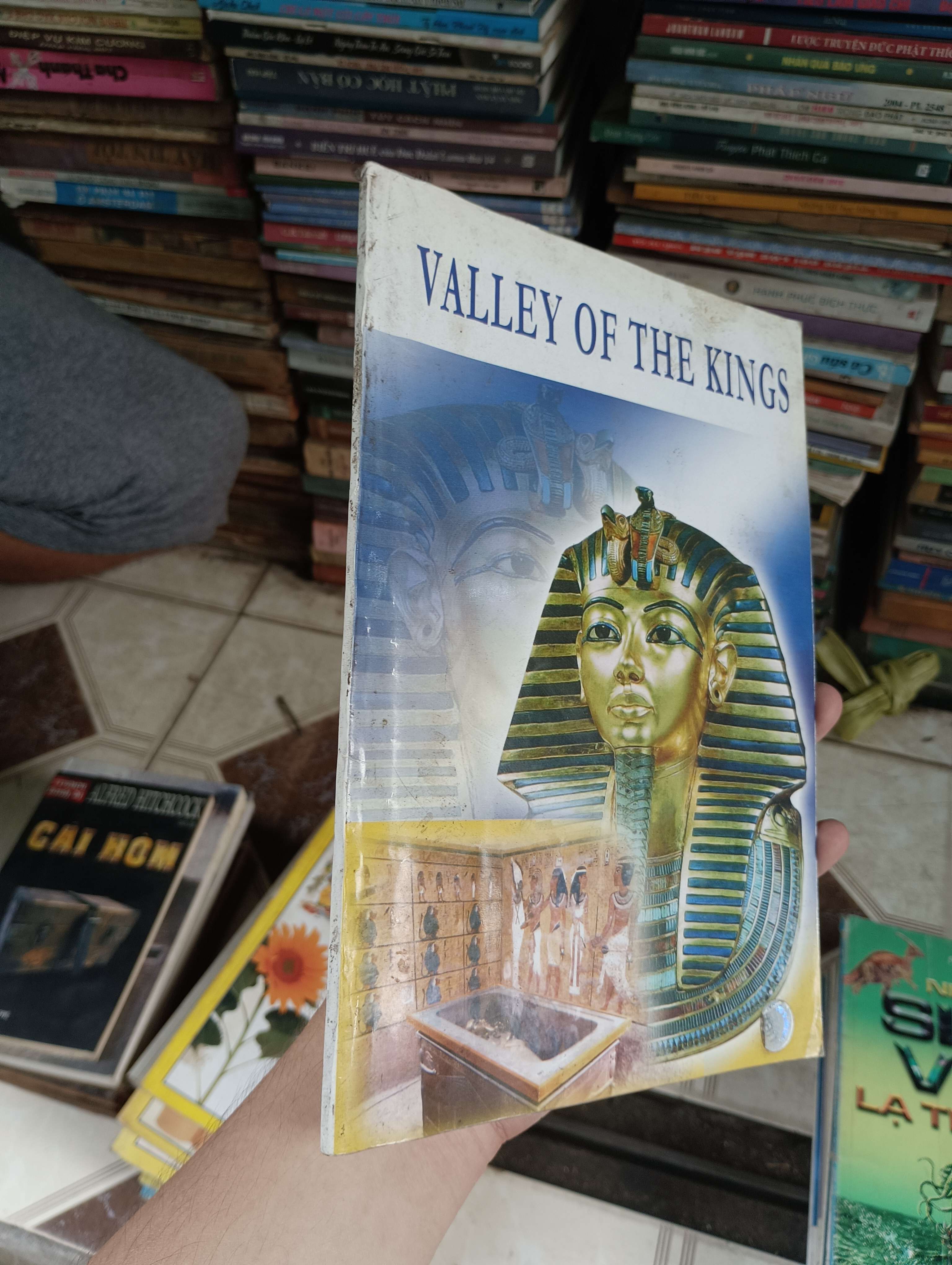 Valley of the kings (Thung lũng của các vị vua) (Sách văn học) BGB