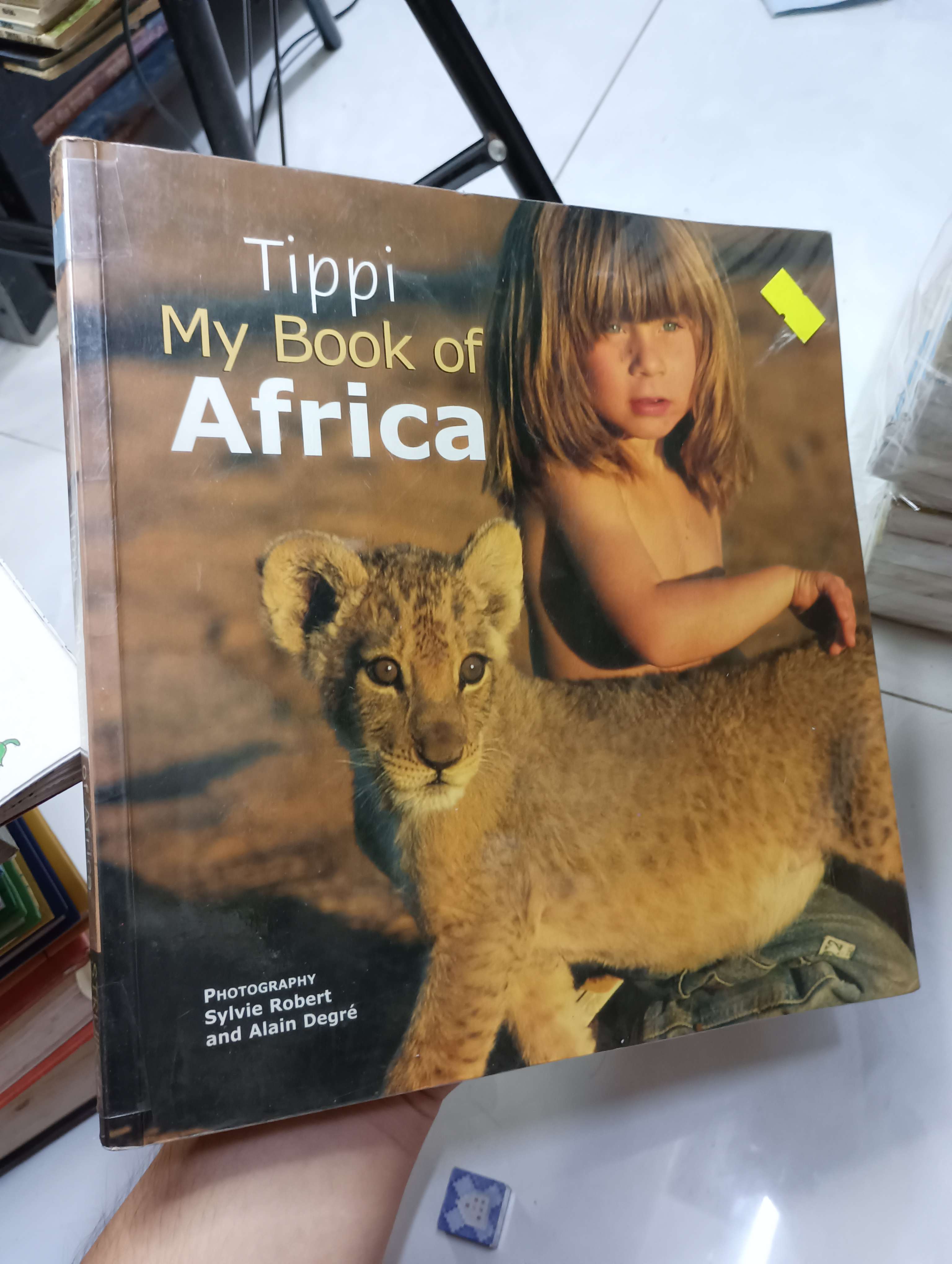 Tippi My Book of Africa - Sylvie Robert and Alain Degré 2005 80% (Sách thiếu nhi) HCM