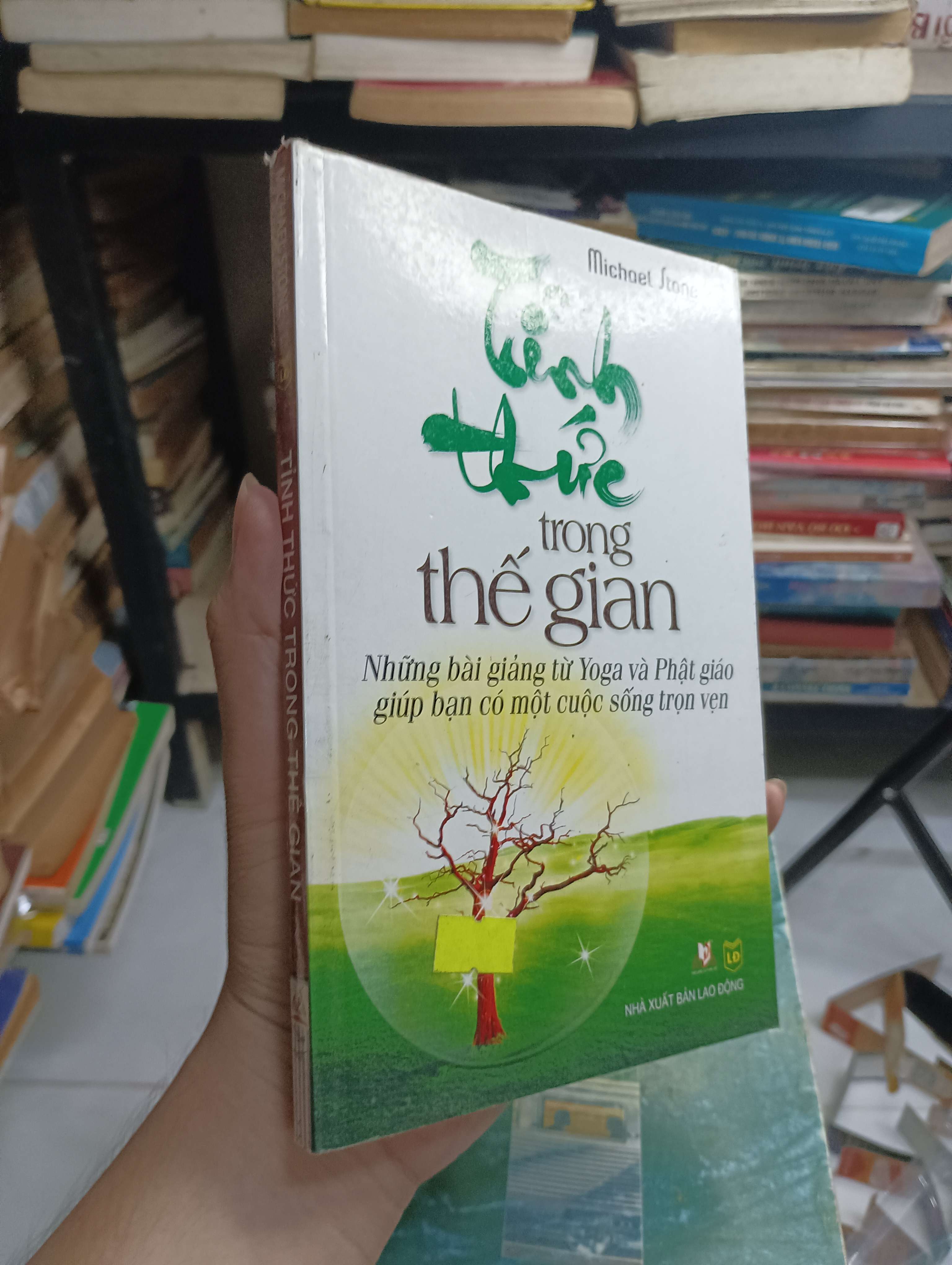 Tỉnh Thức Trong Thế Gian - Michael Stone 2013 80% (Chữa lành) HCM