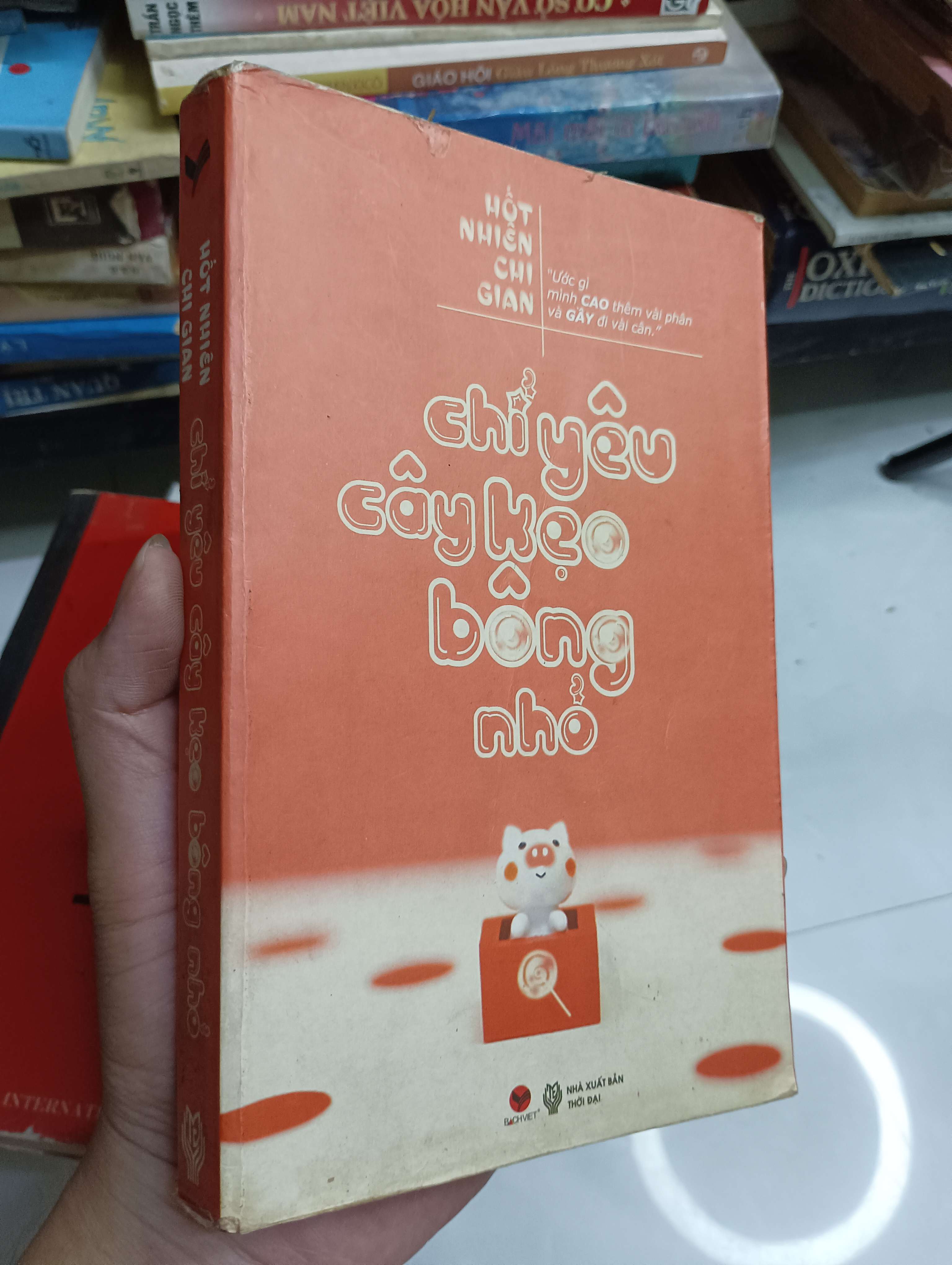 Chỉ yêu cây kẹo bông nhỏ - Hột Nhiên Chi Gian 2013 80% ố (Sách văn học) HCM