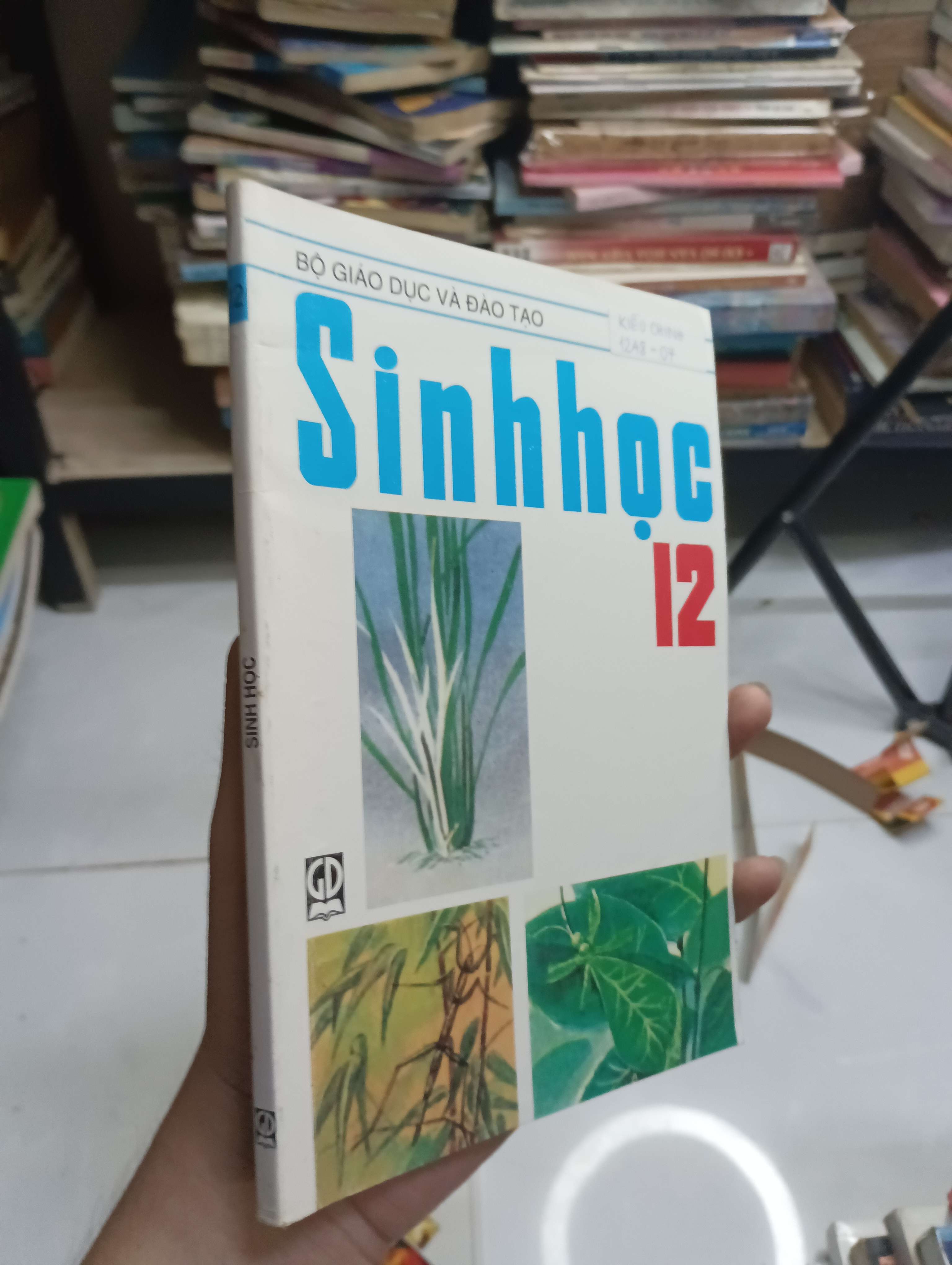 Sinh học 12 2006 80% ố có viết (Giáo khoa) HCM