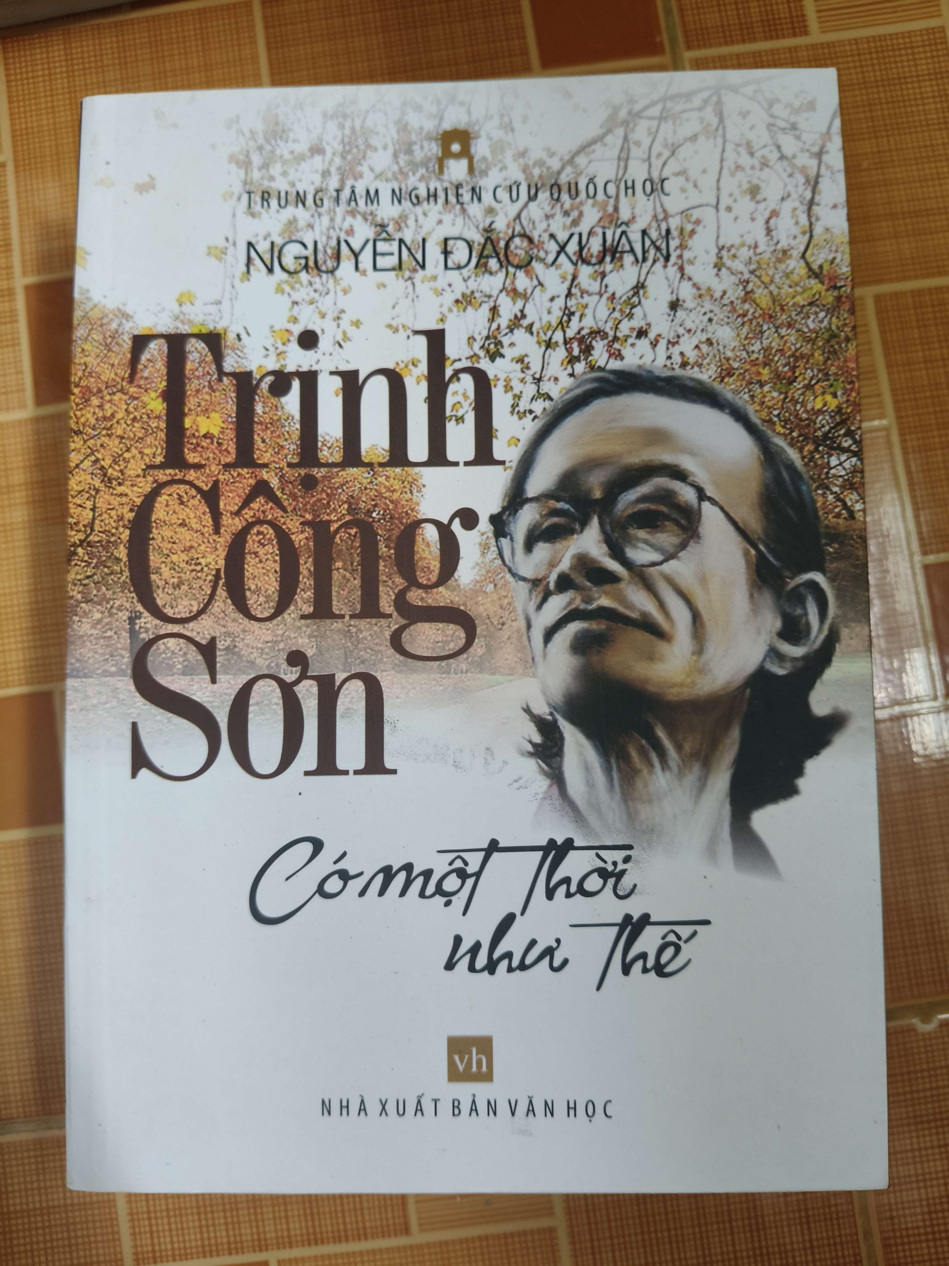 Trịnh Công Sơn có một thời như thế - Xb 2011 - 335 trang (Sách văn học) ANTQ