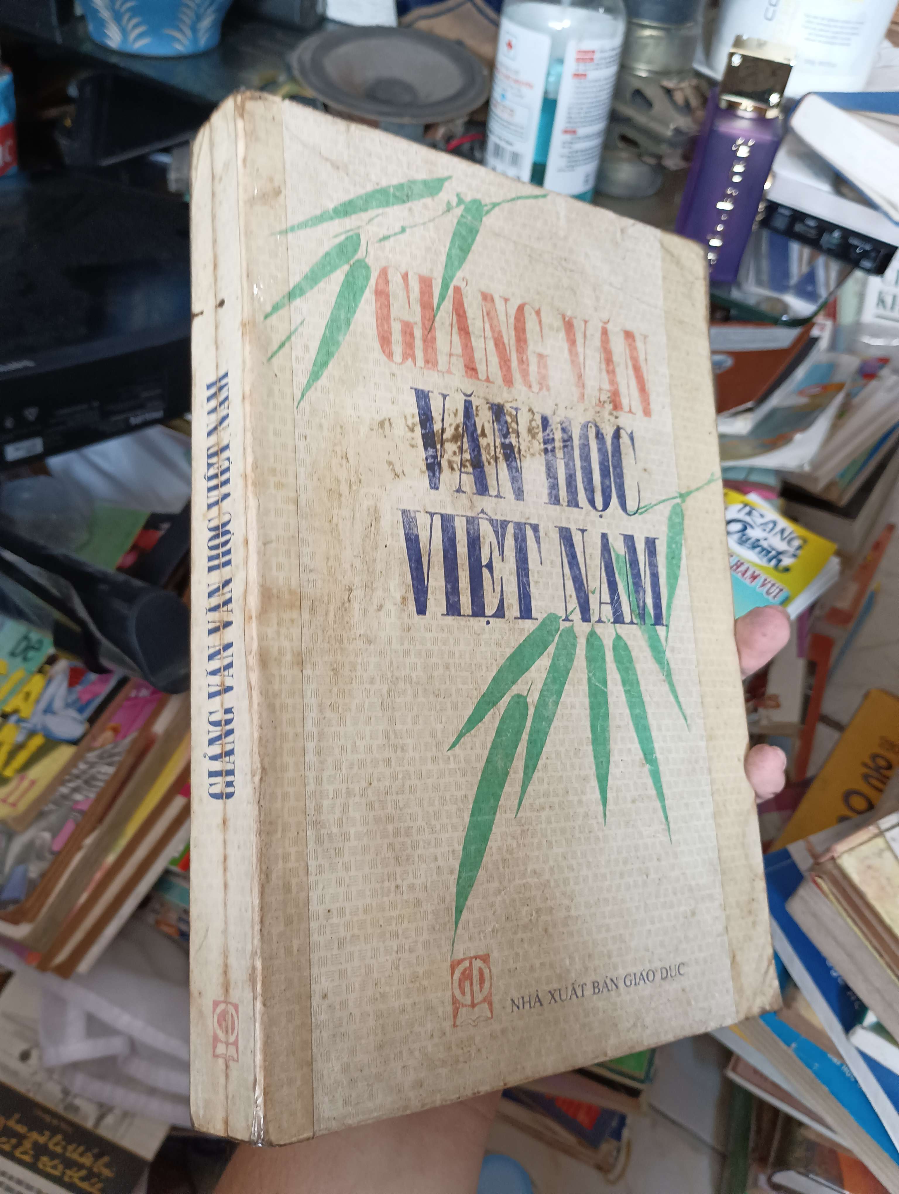 Giảng Văn Văn Học Việt Nam 2002 (Sách văn học) KSX