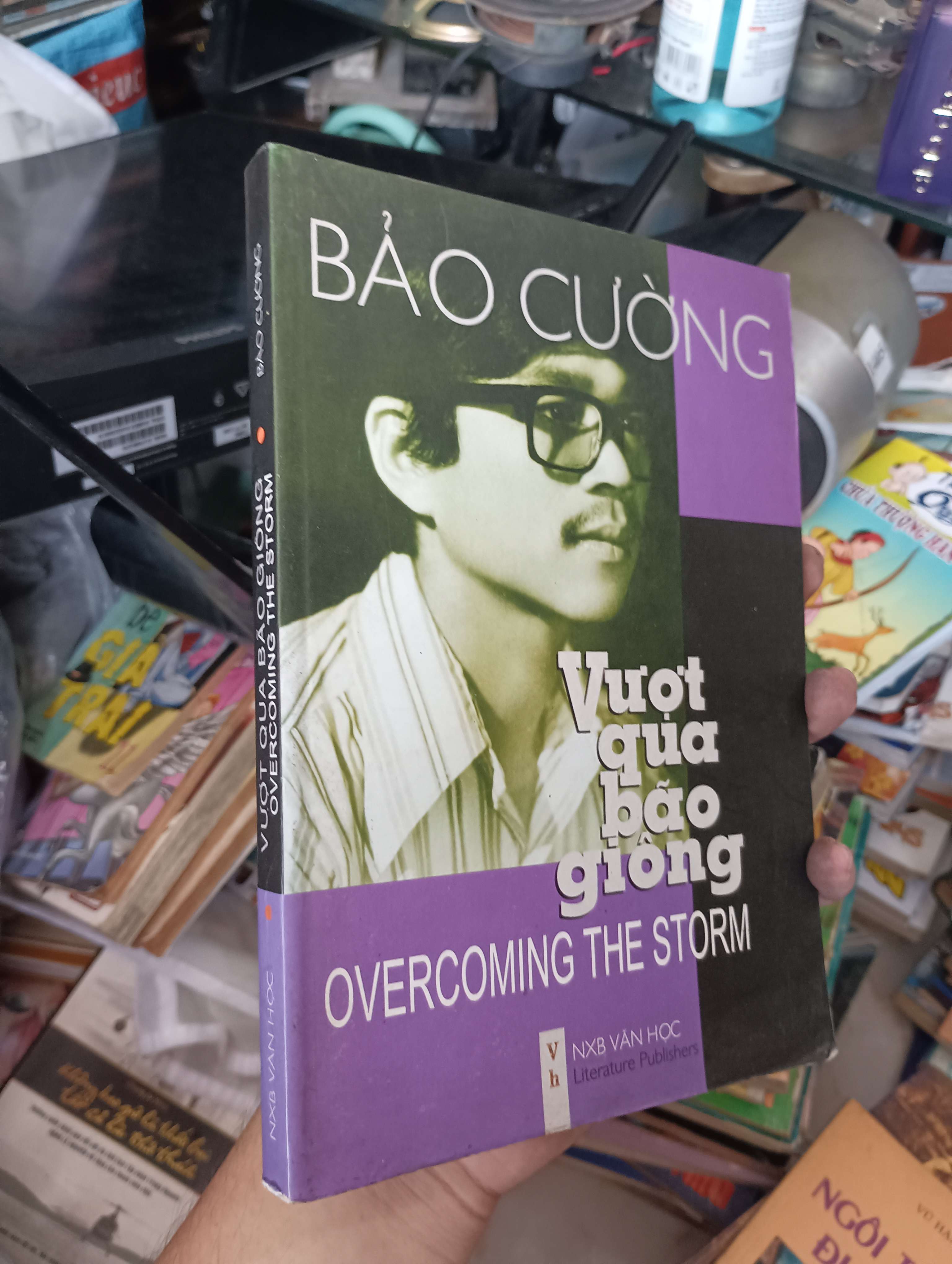 Vượt qua bão giông / Overcoming the Storm - Bảo Cường 2012 (Sách văn học) KSX