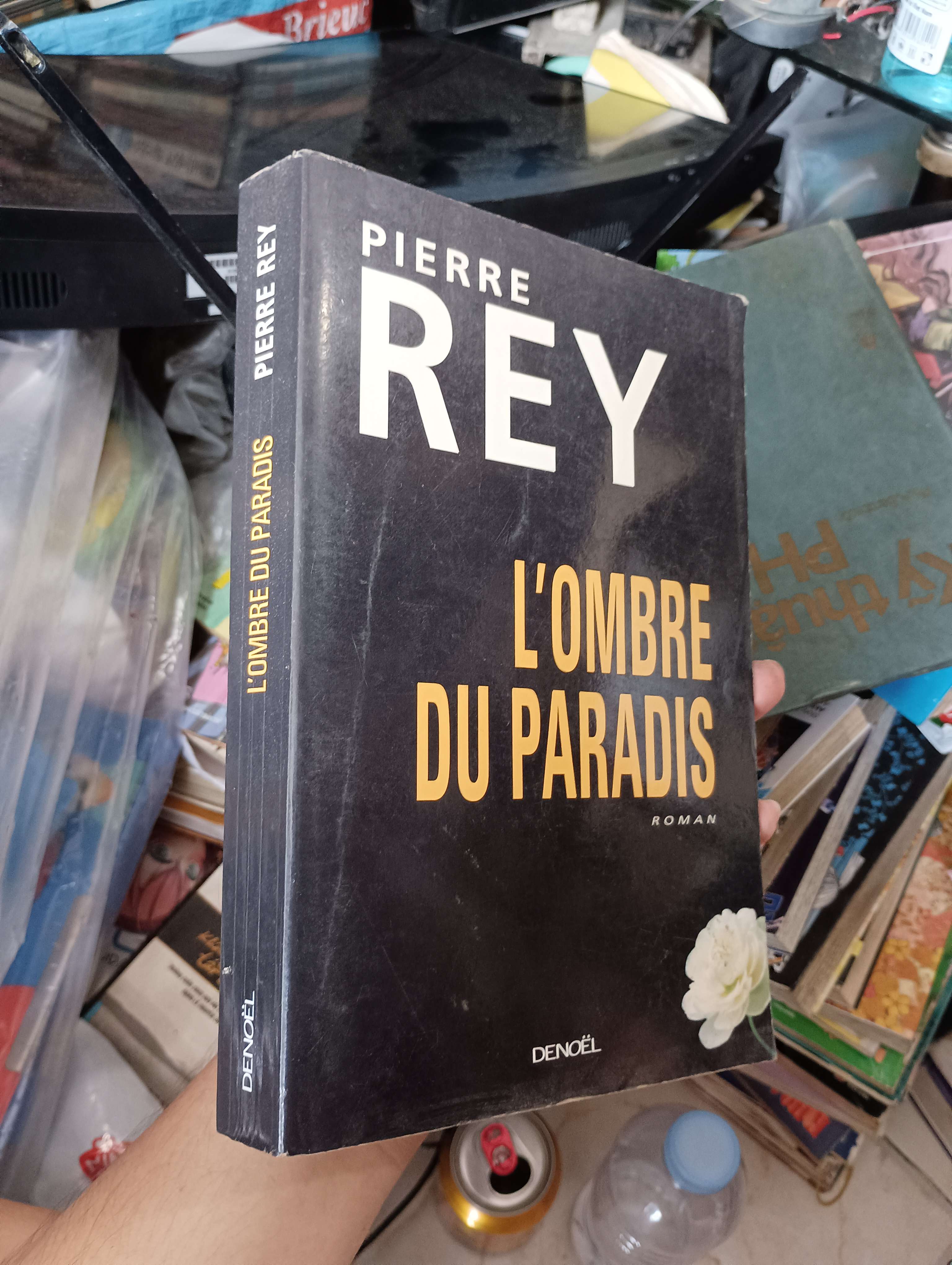 L'OMBRE DU PARADIS - PIERRE REY (Sách ngoại) KSX