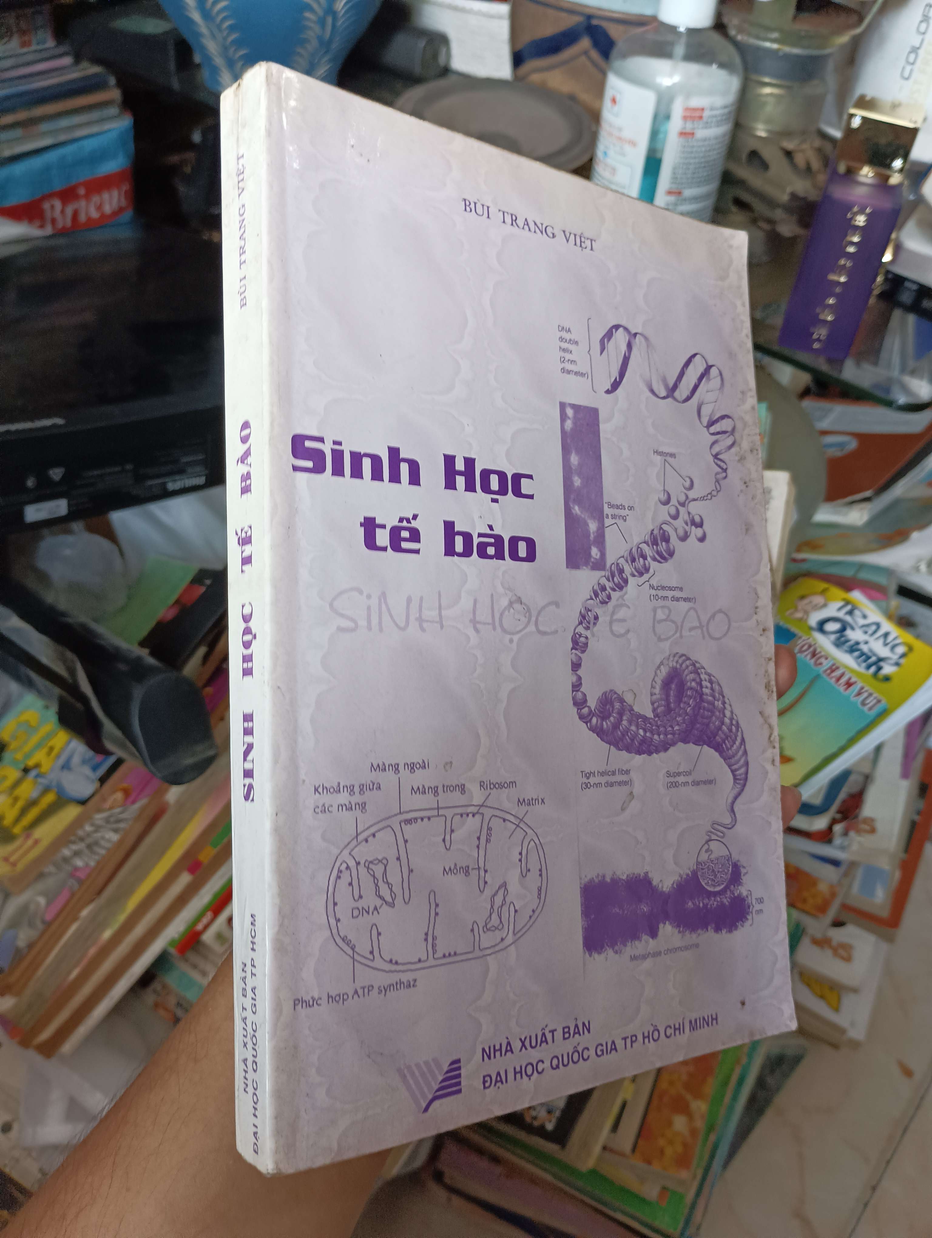 Sinh Học Tế Bào - Bùi Trang Việt 2003 (Sách giáo khoa - giáo trình) KSX