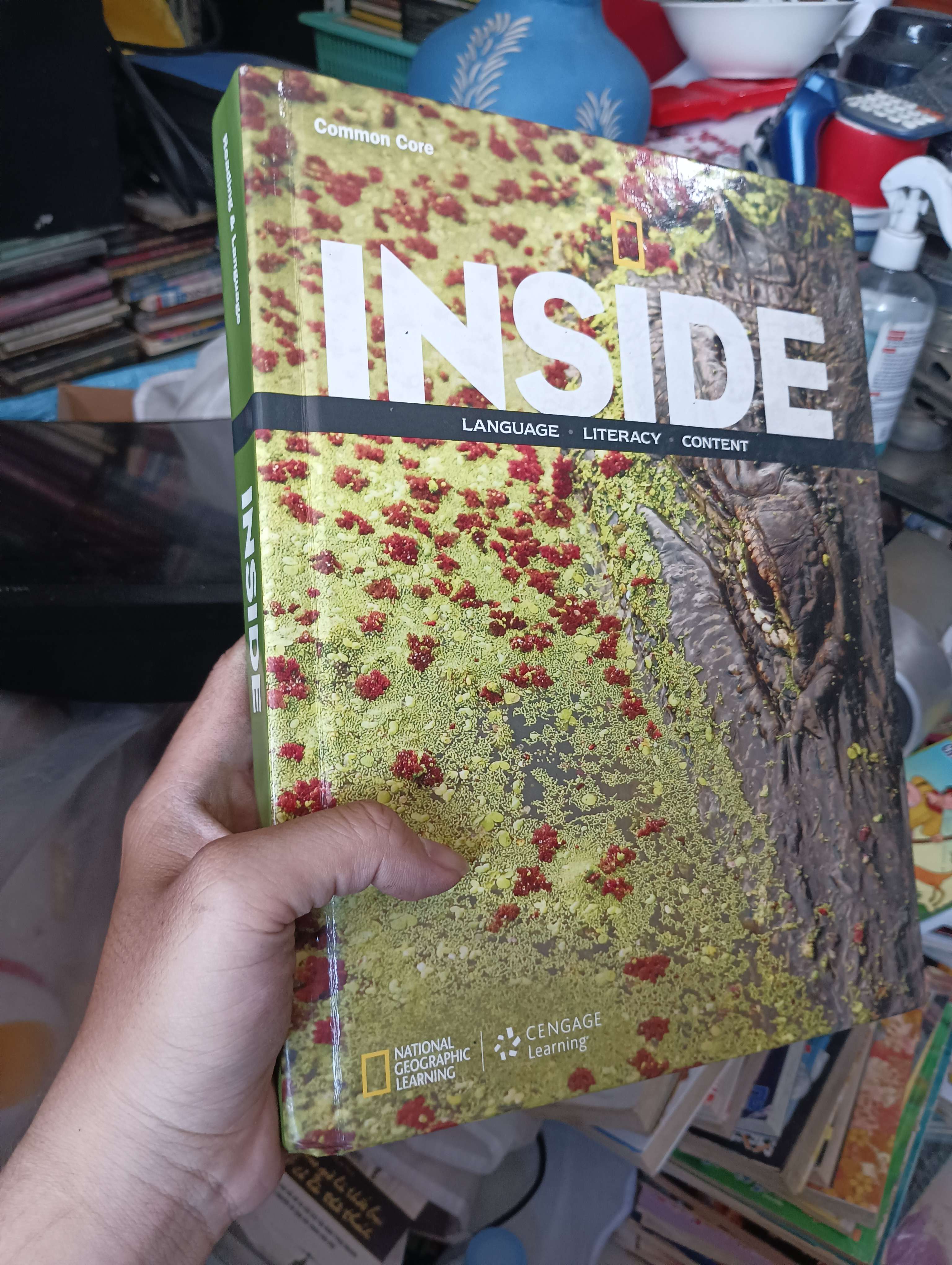 INSIDE - David W. Moore, Deborah J. Short, Michael W. Smith, Alfred W. Tatum, Josefina Villamil Tinajero (Sách ngoại) KSX