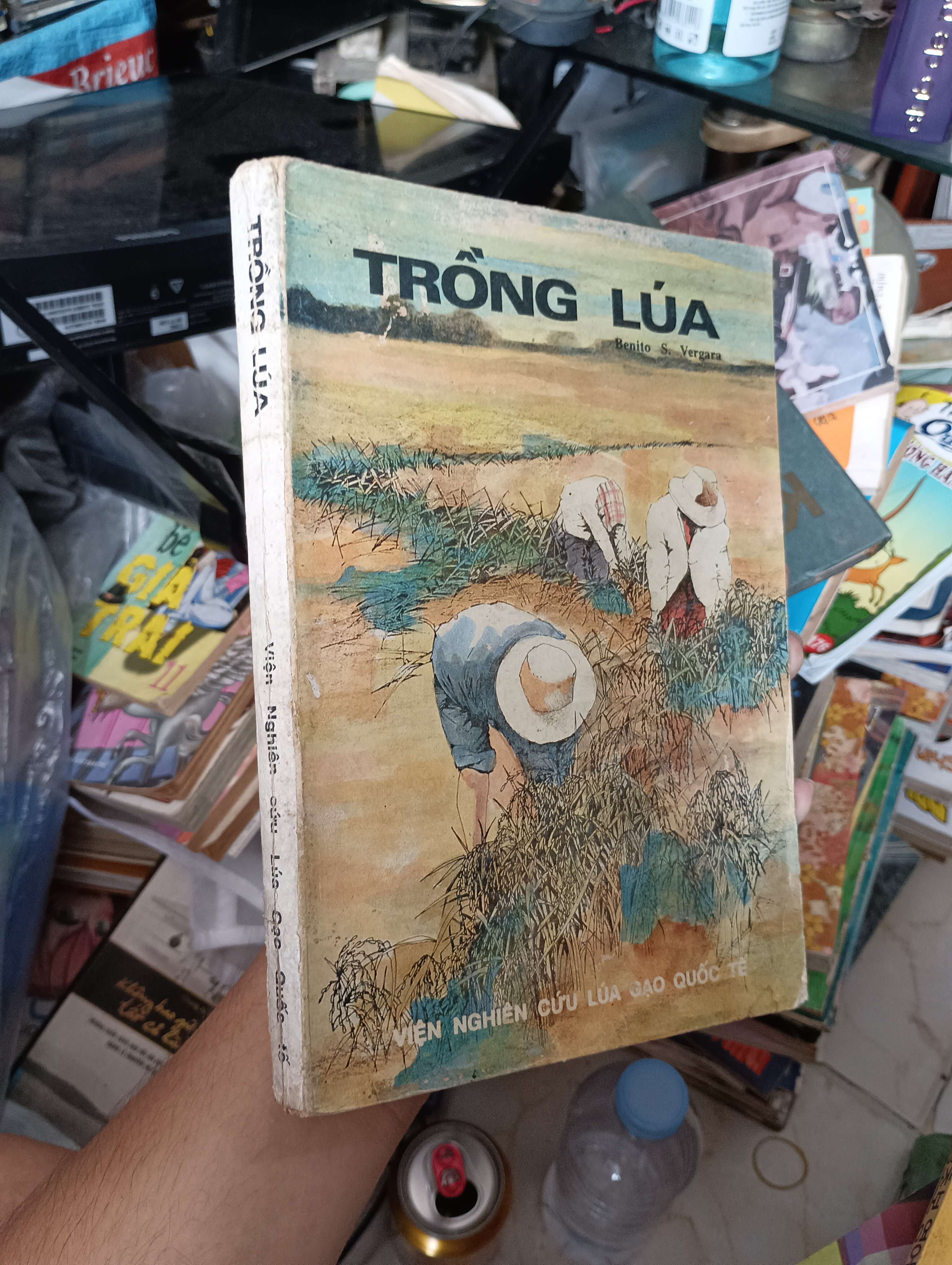 TRỒNG LÚA - Benito S. Vergara 1991 (Sách kiến thức tổng hợp) KSX