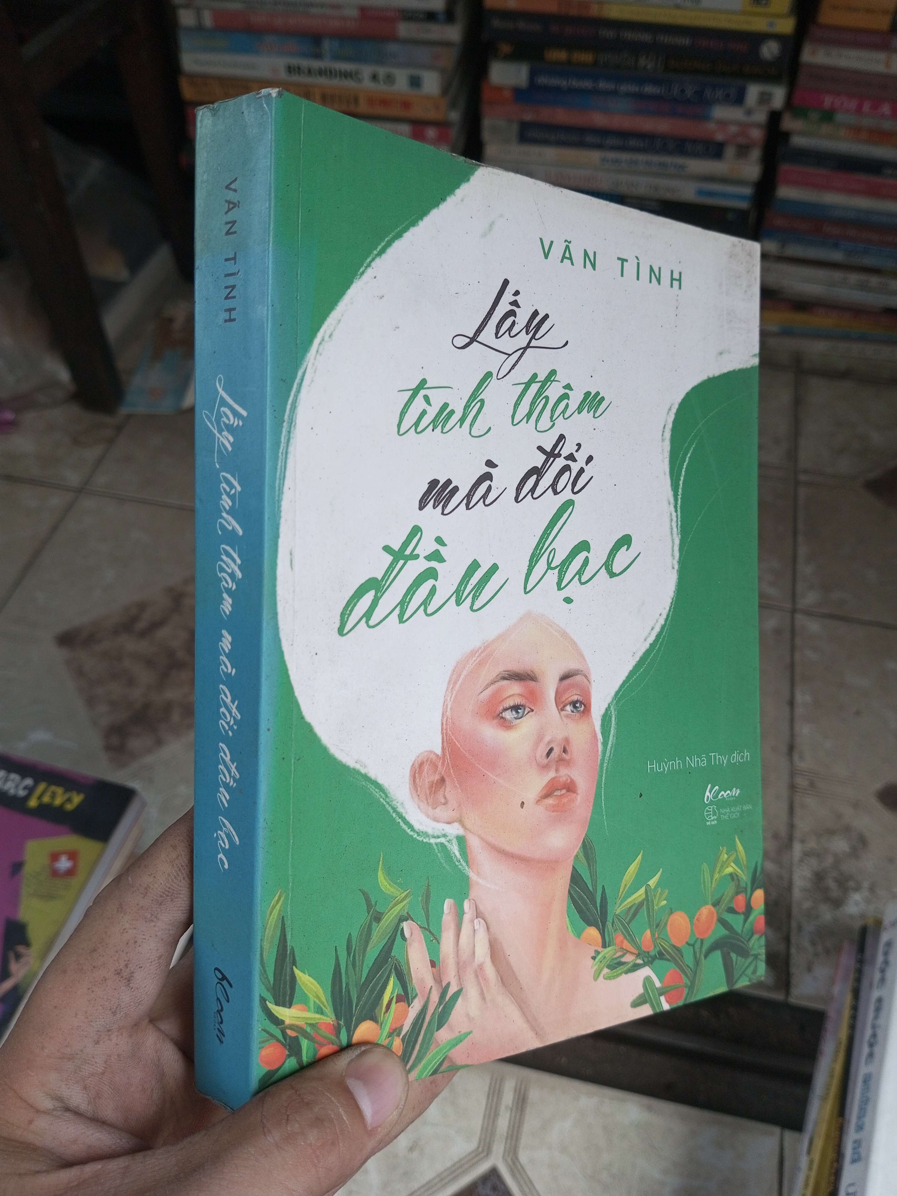 Lấy tình thâm mà đổi đầu bạc - Vãn Tình 2019 mới 90% (Sách văn học) BGB