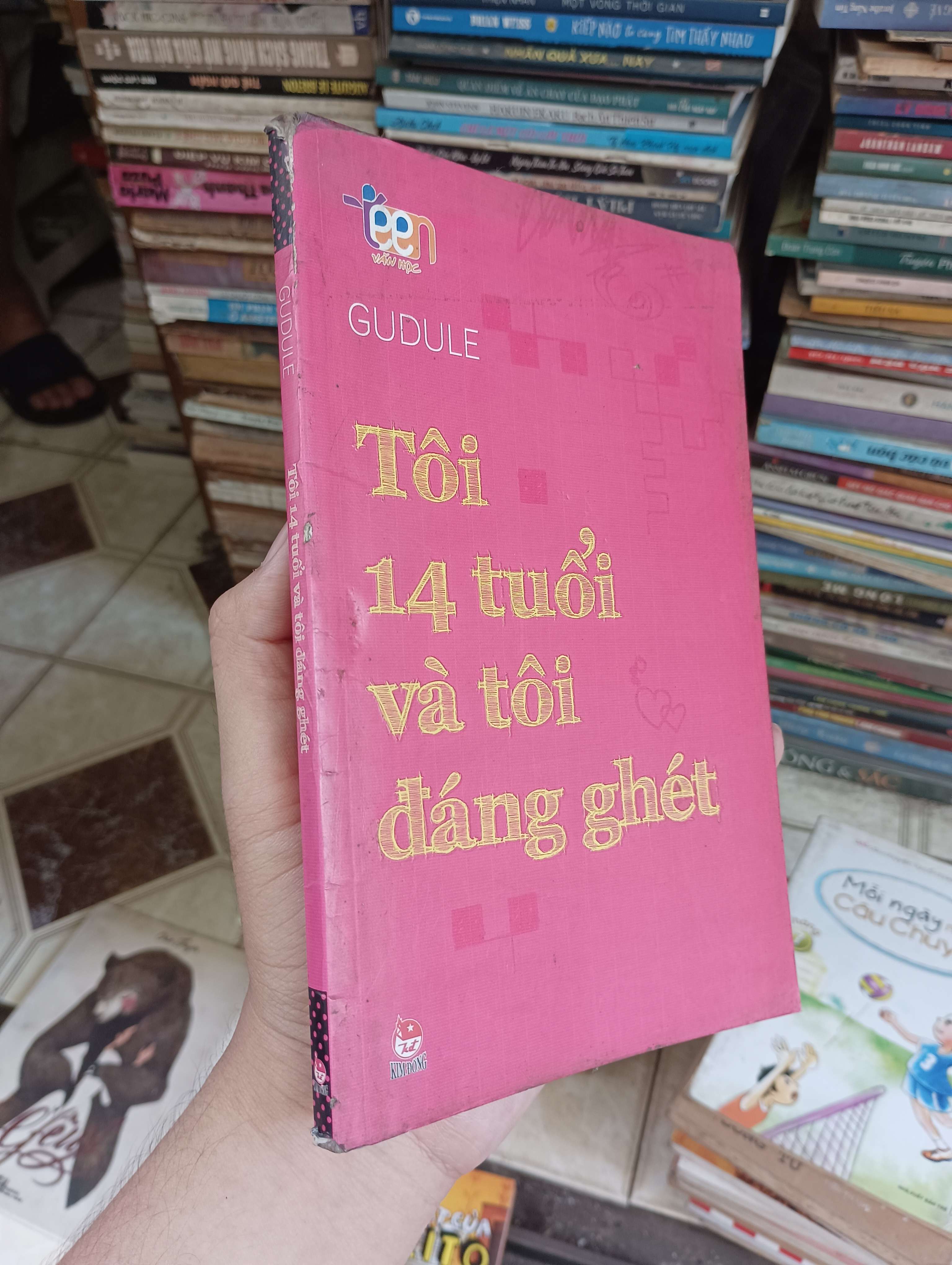Tôi 14 tuổi và tôi đáng ghét - Gudule 2012 (Sách văn học) BGB