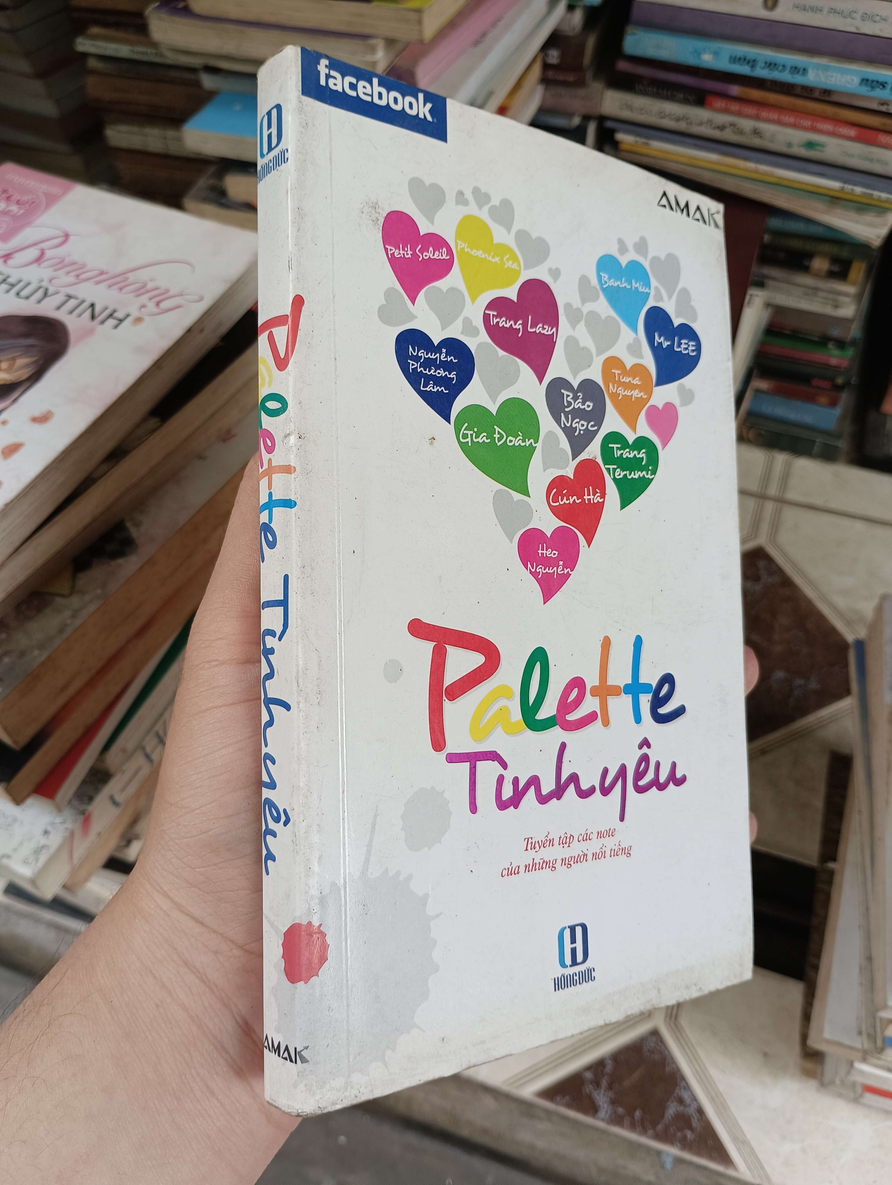 Palette Tình yêu 2011 (Tiểu Thuyết) BGB