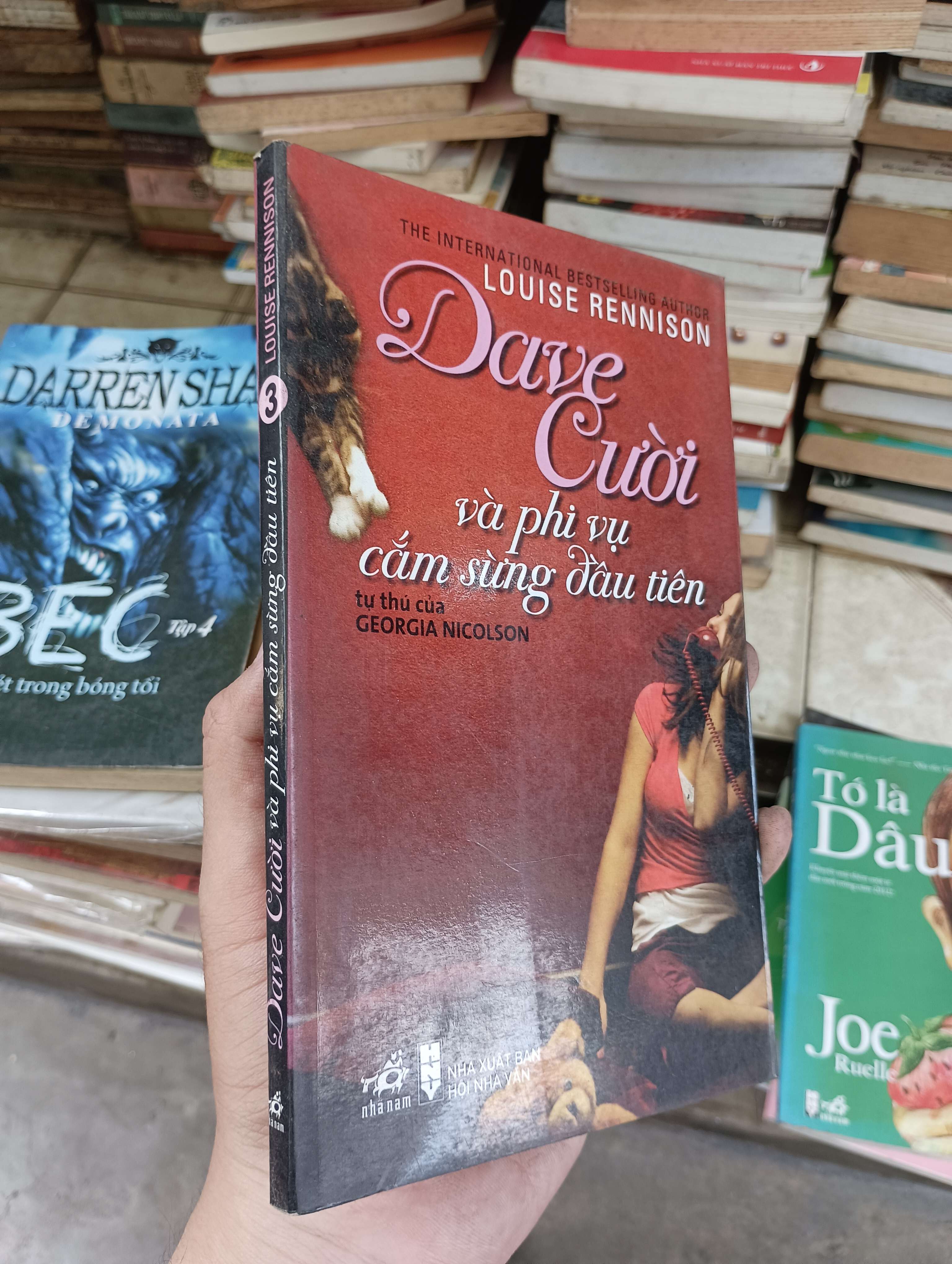 Dave Cười và phi vụ cắm sừng đầu tiên (Tự thú của Georgia Nicolson - Tập 3) - Louise Rennison 2010 (Tiểu Thuyết) BGB