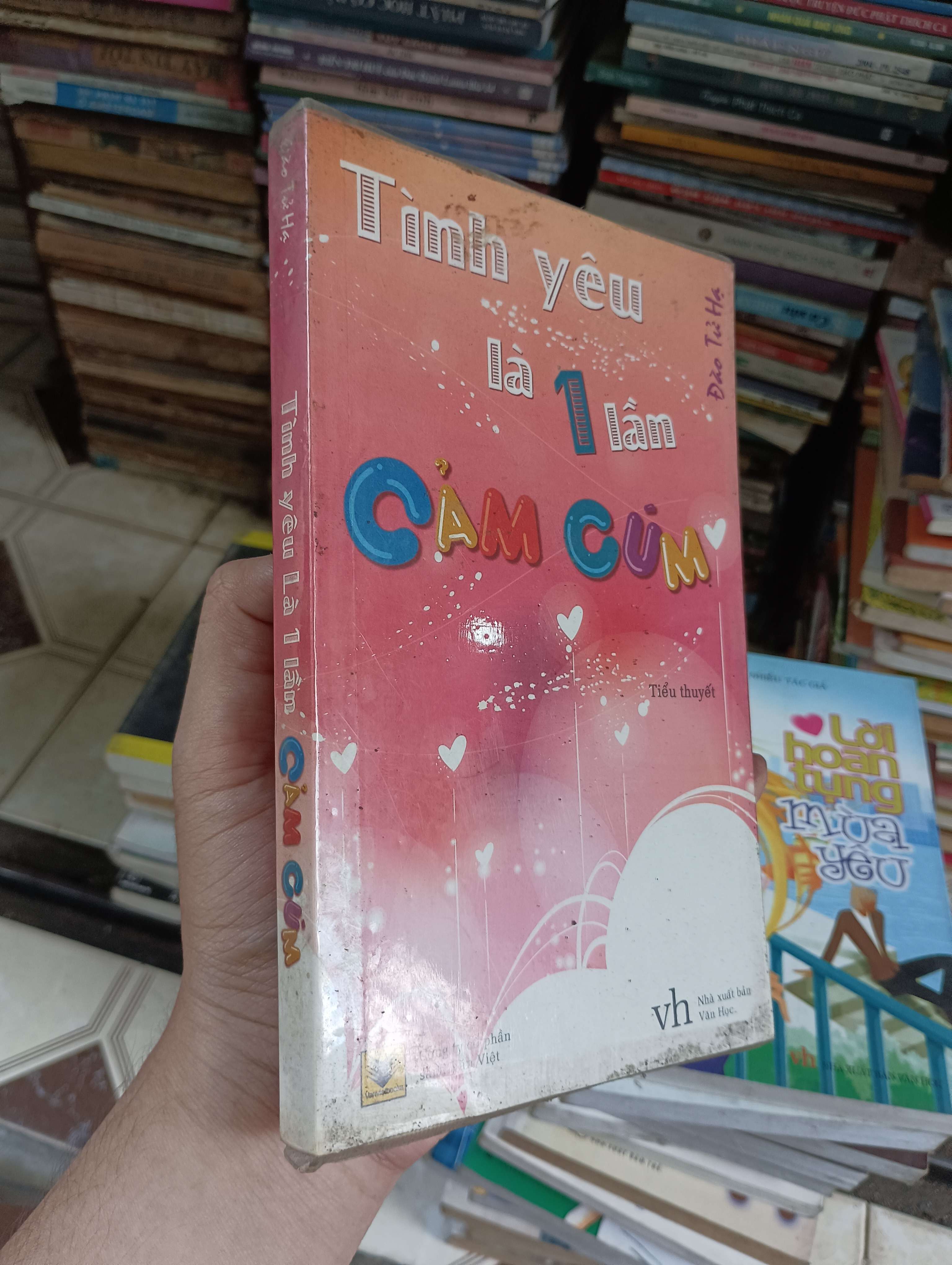 Tình yêu là 1 lần cảm cúm - Đào Tử Hạ 2011 (Tiểu Thuyết) BGB