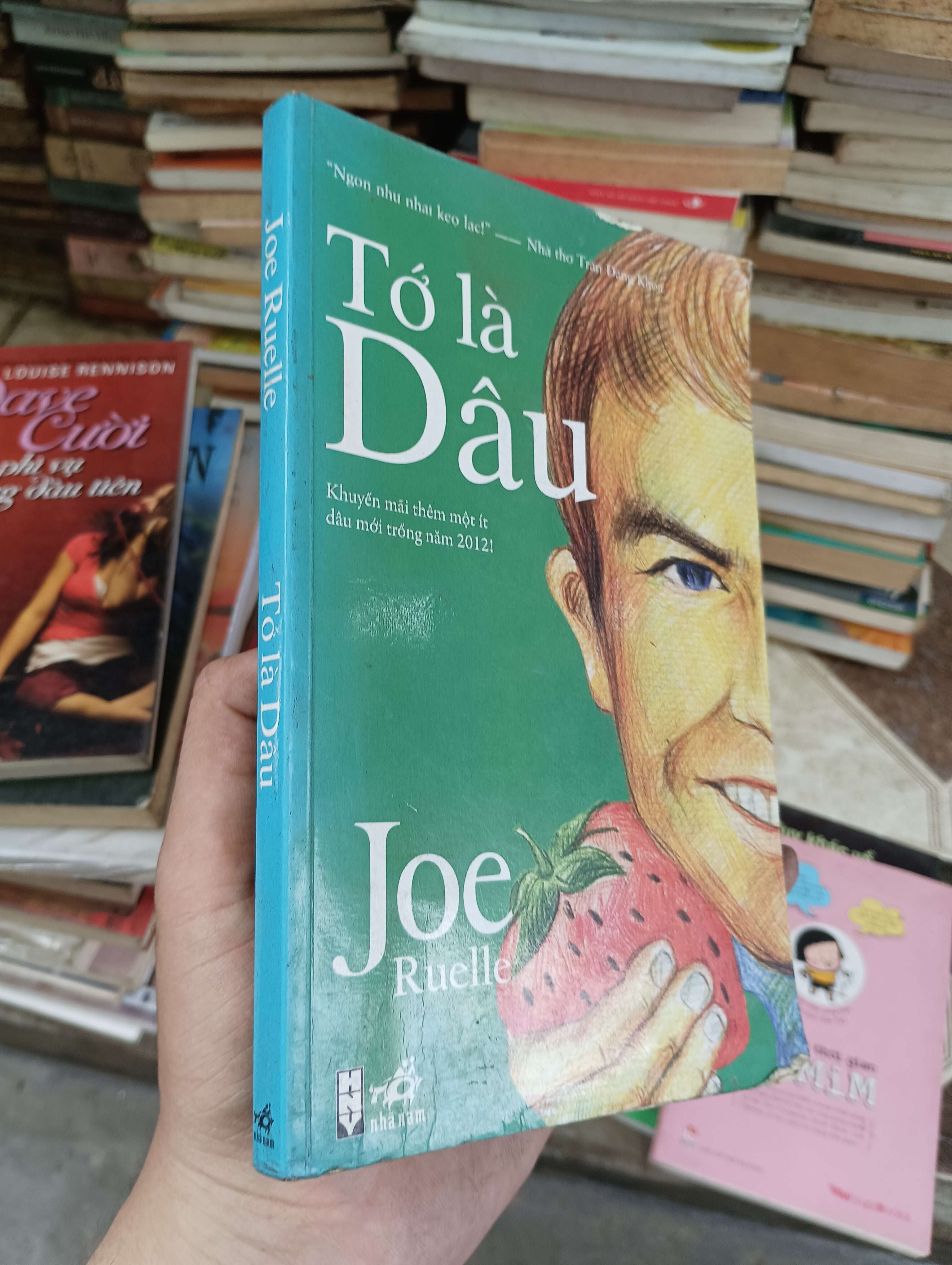Tớ là Dâu - Joe Ruelle 2012 (Sách văn học) BGB