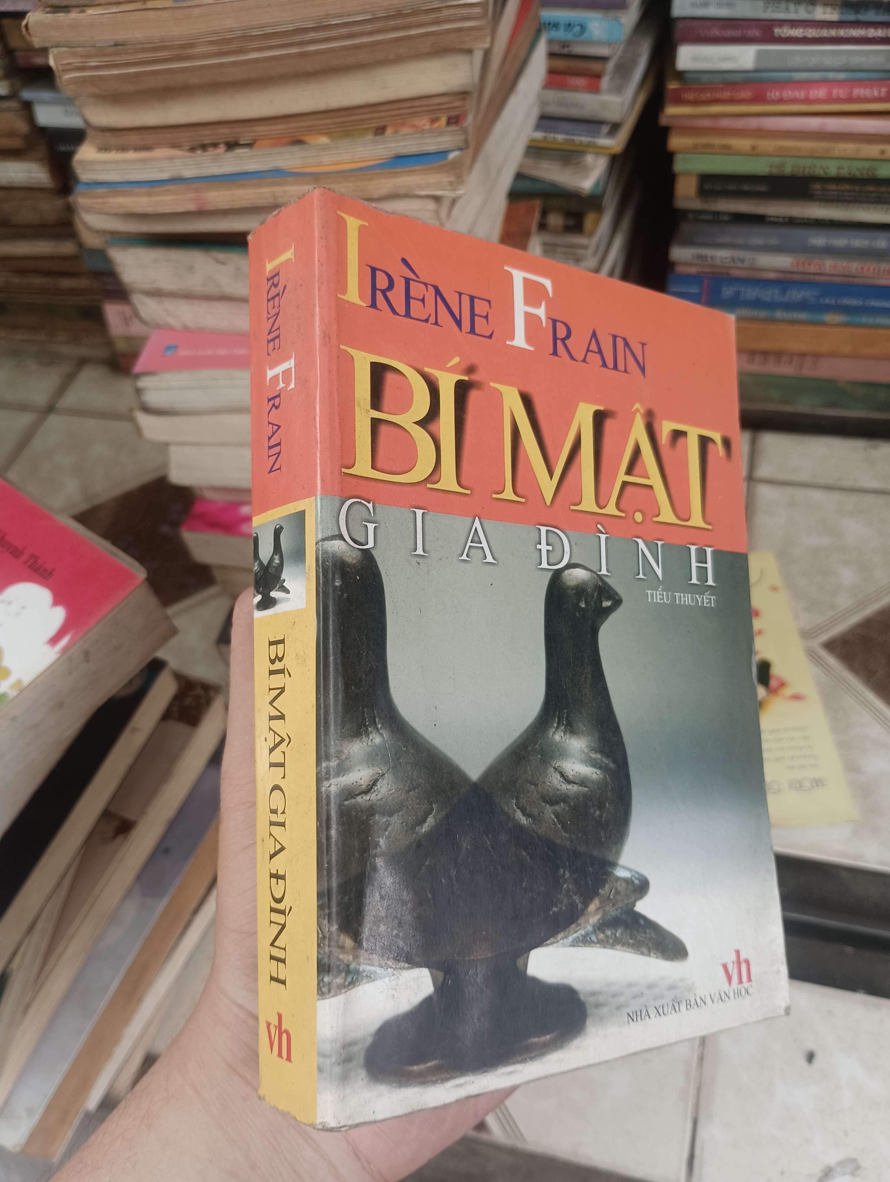 BÍ MẬT GIA ĐÌNH - IRÈNE FRAIN 2008 (Tiểu Thuyết) BGB