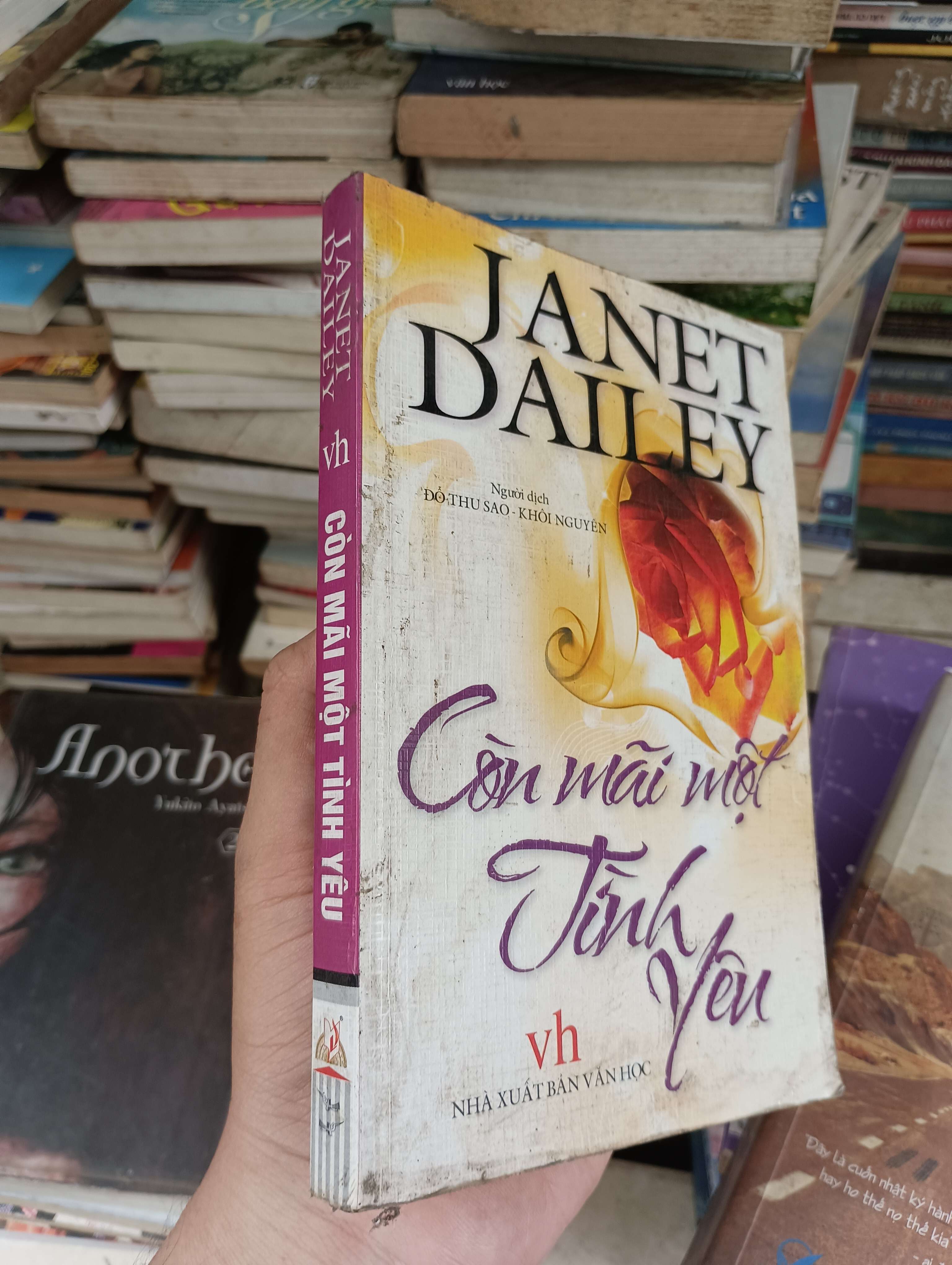 Còn mãi một tình yêu - Janet Dailey 2010 (Tiểu Thuyết) BGB