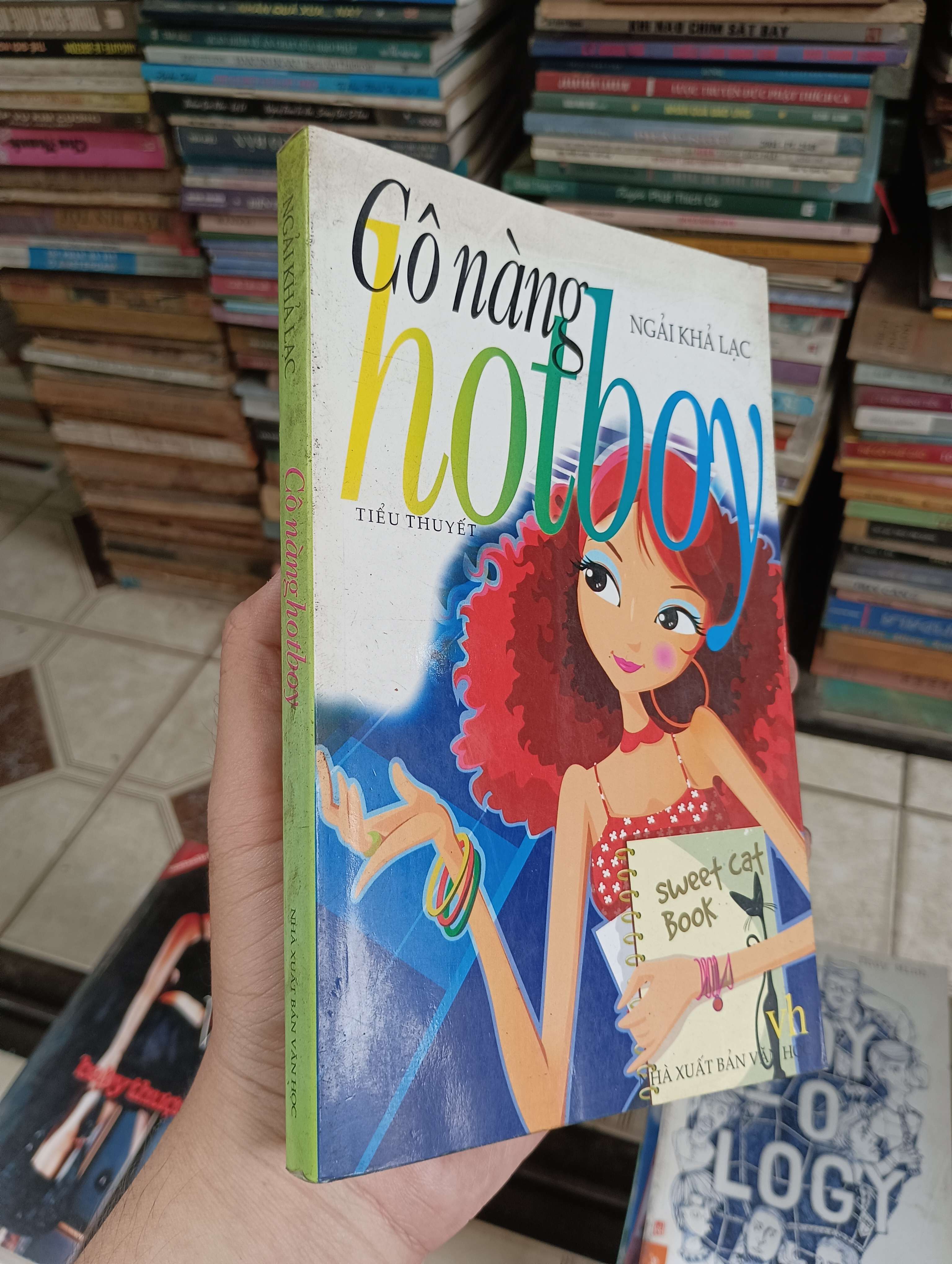 Cô nàng hotboy - Ngải Khả Lạc 2010 (Tiểu Thuyết) BGB