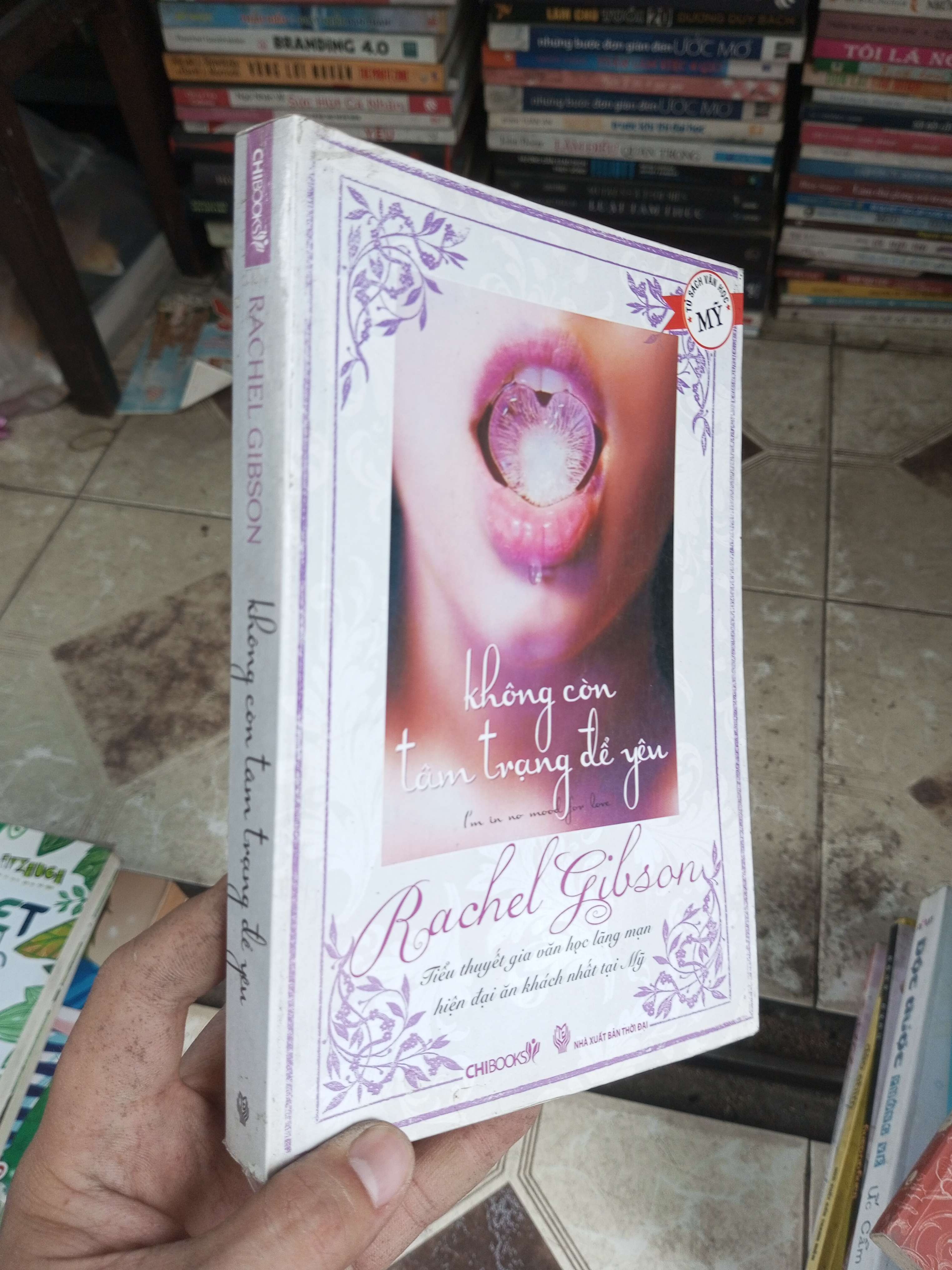 Không còn tâm trạng để yêu - Rachel Gibson 2010 mới 80% ố (Văn học nước ngoài) BGB