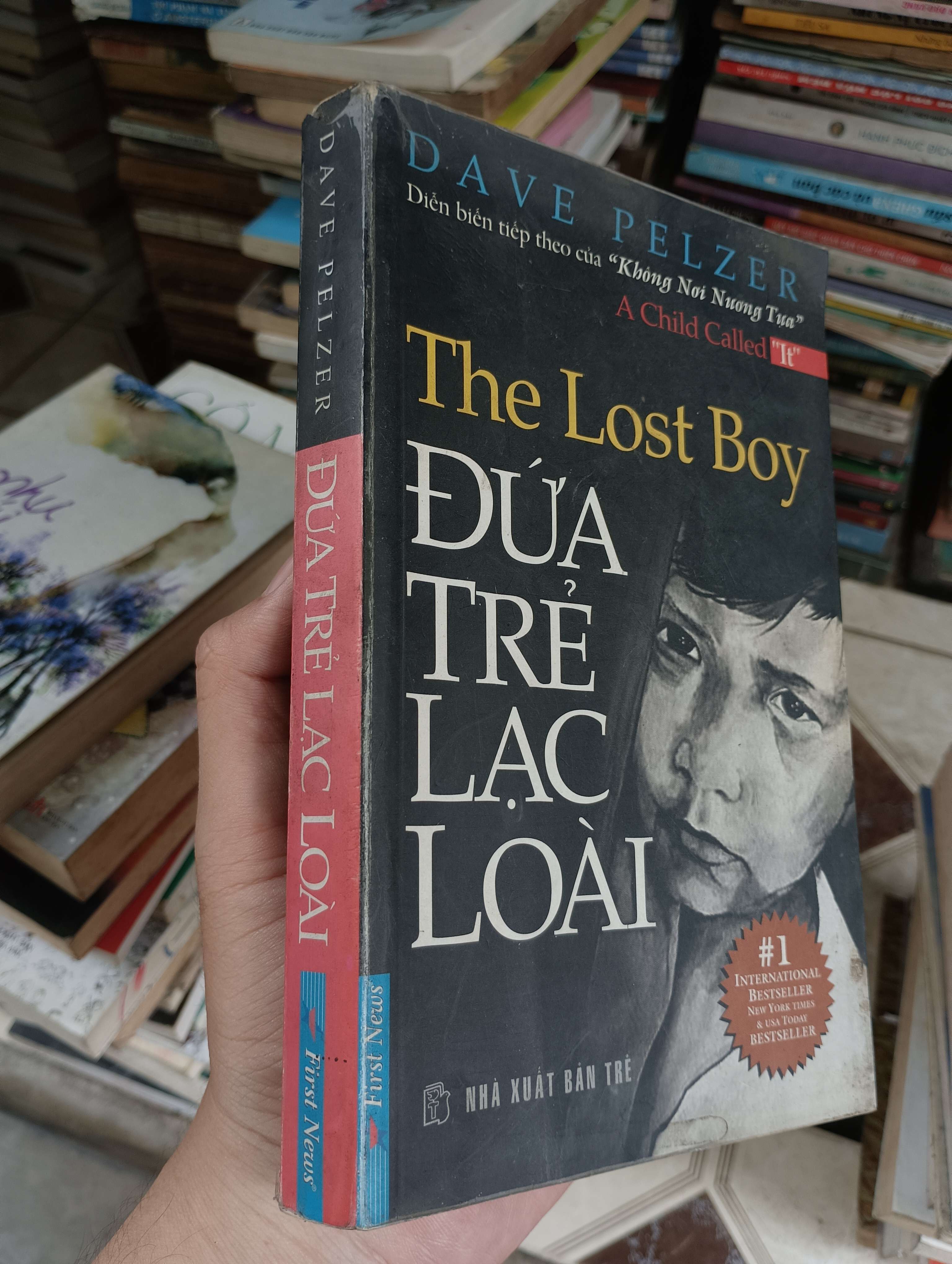 The Lost Boy - Đứa trẻ lạc loài - Dave Pelzer 2009 (Tiểu Thuyết) BGB