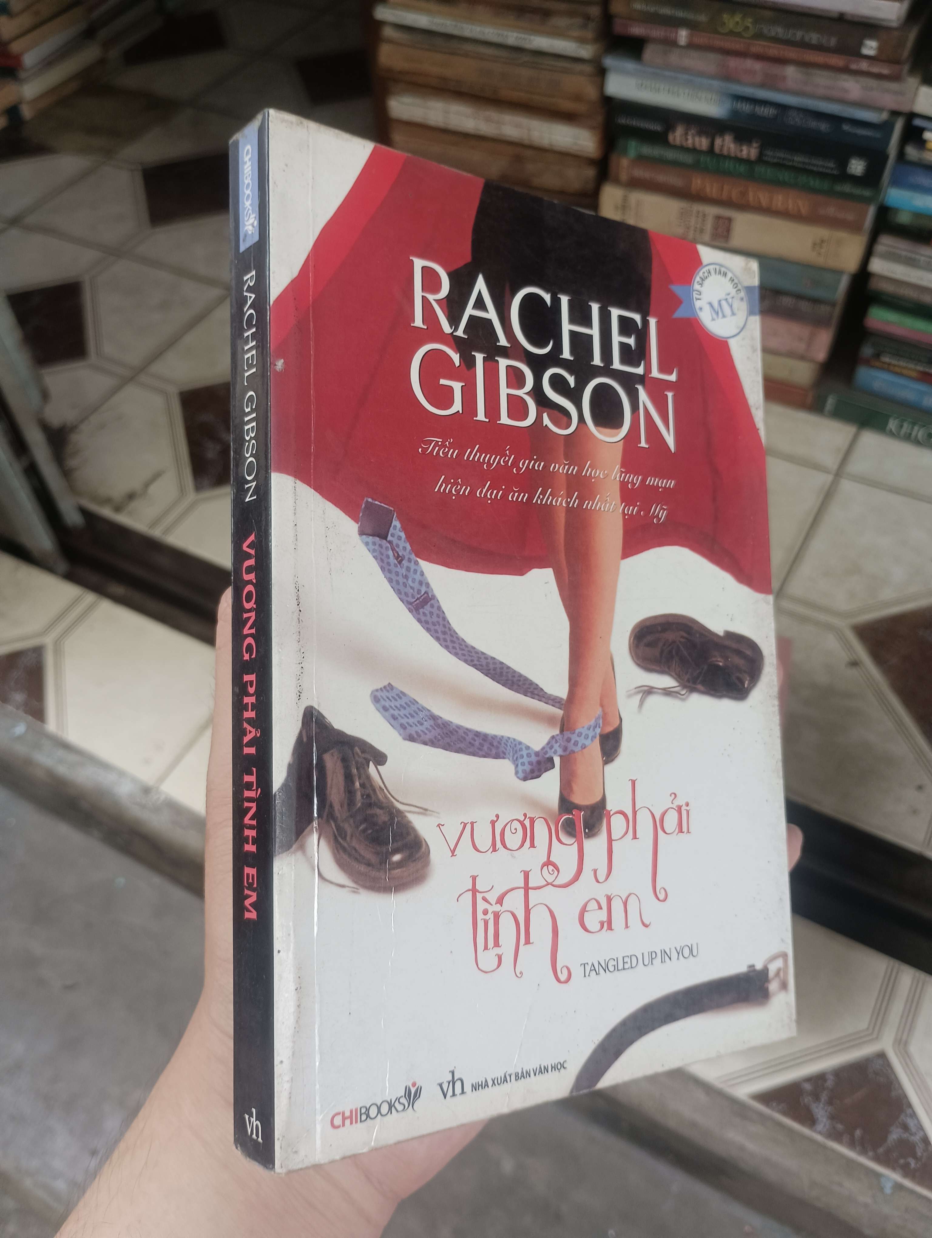 Vương Phải Tình Em - Rachel Gibson 2010 (Tiểu Thuyết) BGB
