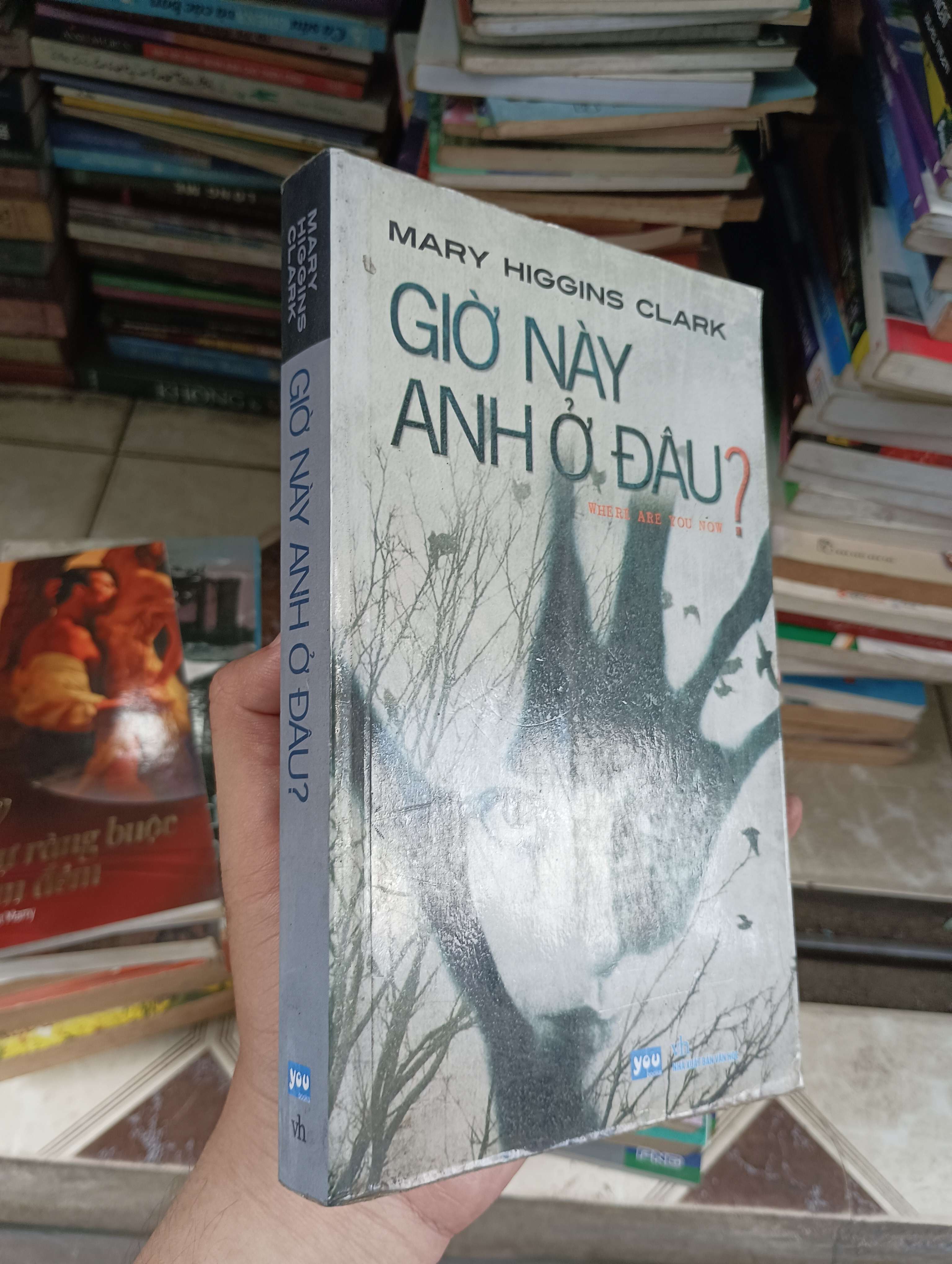 Giờ này anh ở đâu? (Where Are You Now) - Mary Higgins Clark 2010 (Tiểu Thuyết) BGB