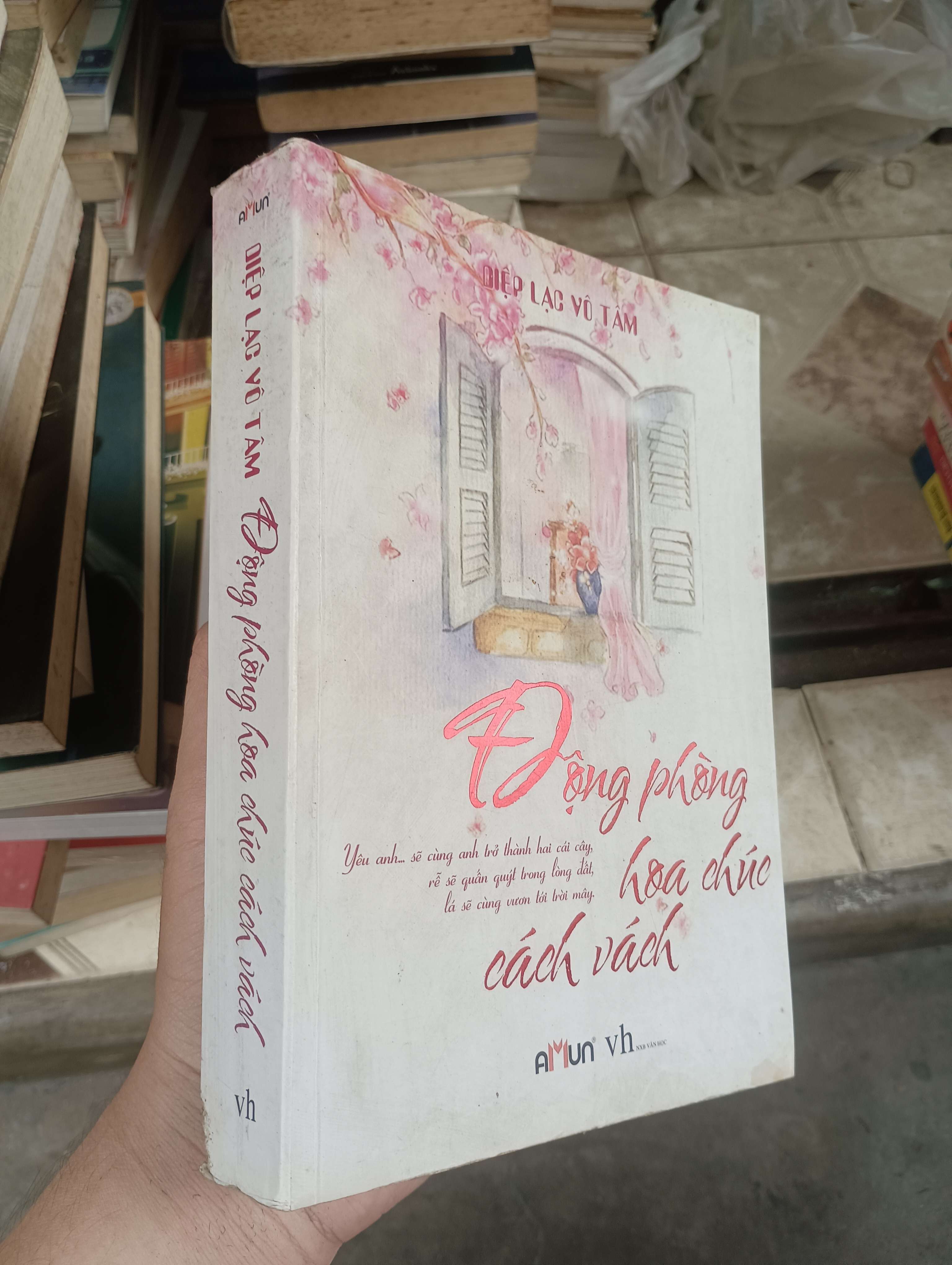 Động phòng hoa chúc cách vách - Diệp Lạc Vô Tâm 2013 (Tiểu Thuyết) BGB