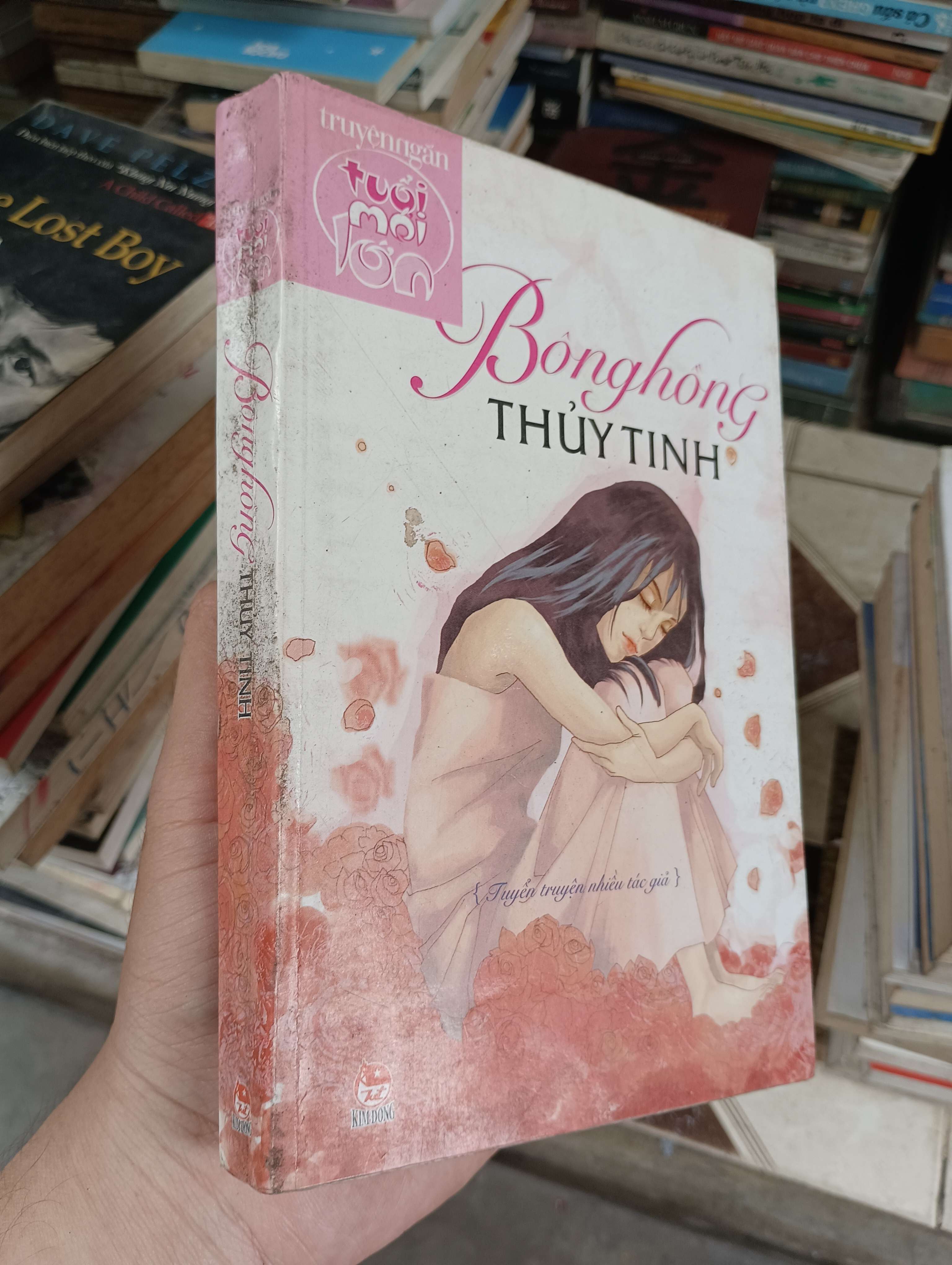 Bông hồng thủy tinh 2008 (Truyện Ngắn) BGB