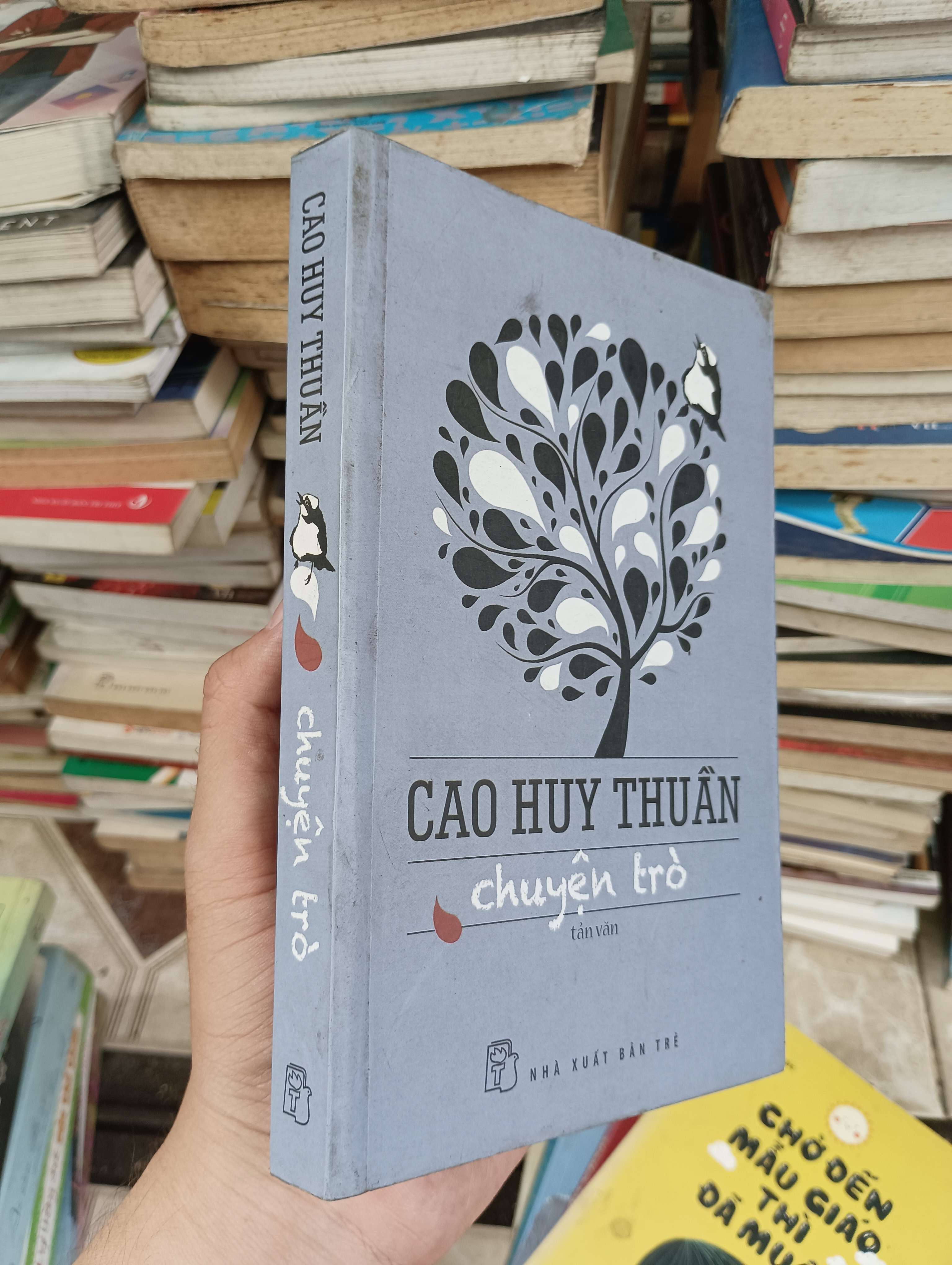 Chuyện trò - Cao Huy Thuần 2014 (Sách văn học) BGB