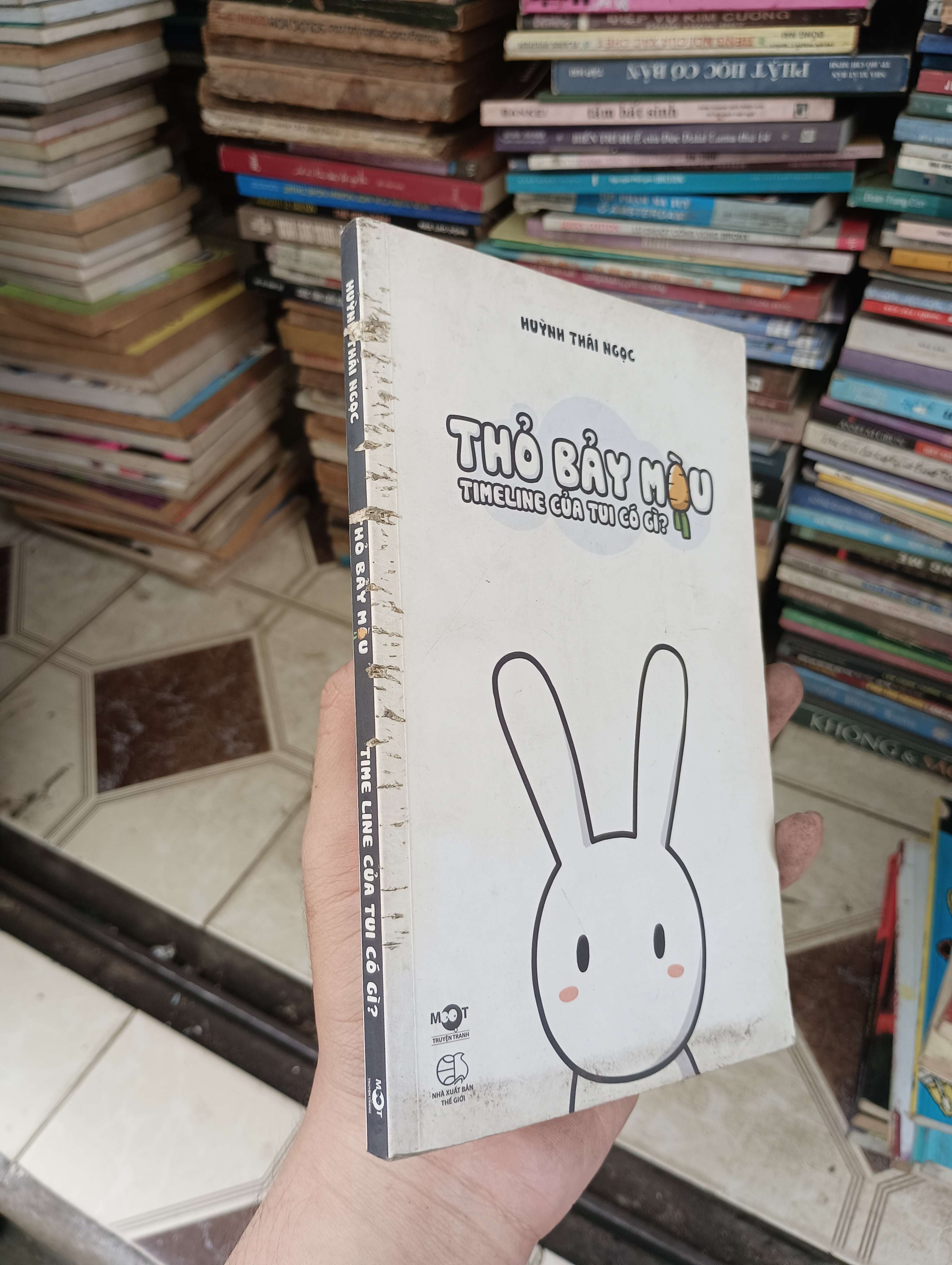 Thỏ Bảy Màu: Timeline của tui có gì - Huỳnh Thái Ngọc (Sách văn học) BGB
