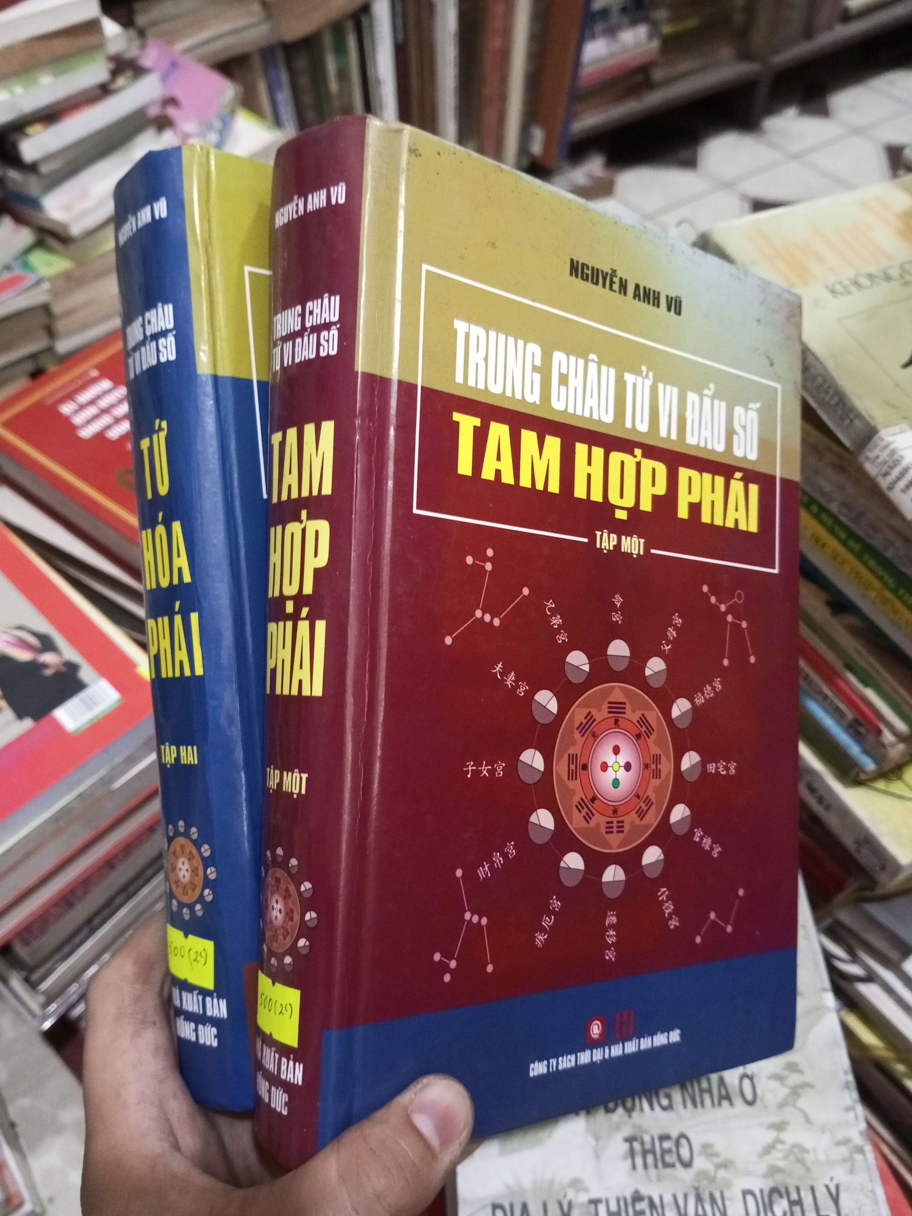 TRUNG CHÂU TỬ VI ĐẨU SỐ TAM HỢP PHÁI (2 Tập) - NGUYỄN ANH VŨ (Sách kiến thức tổng hợp) BGB