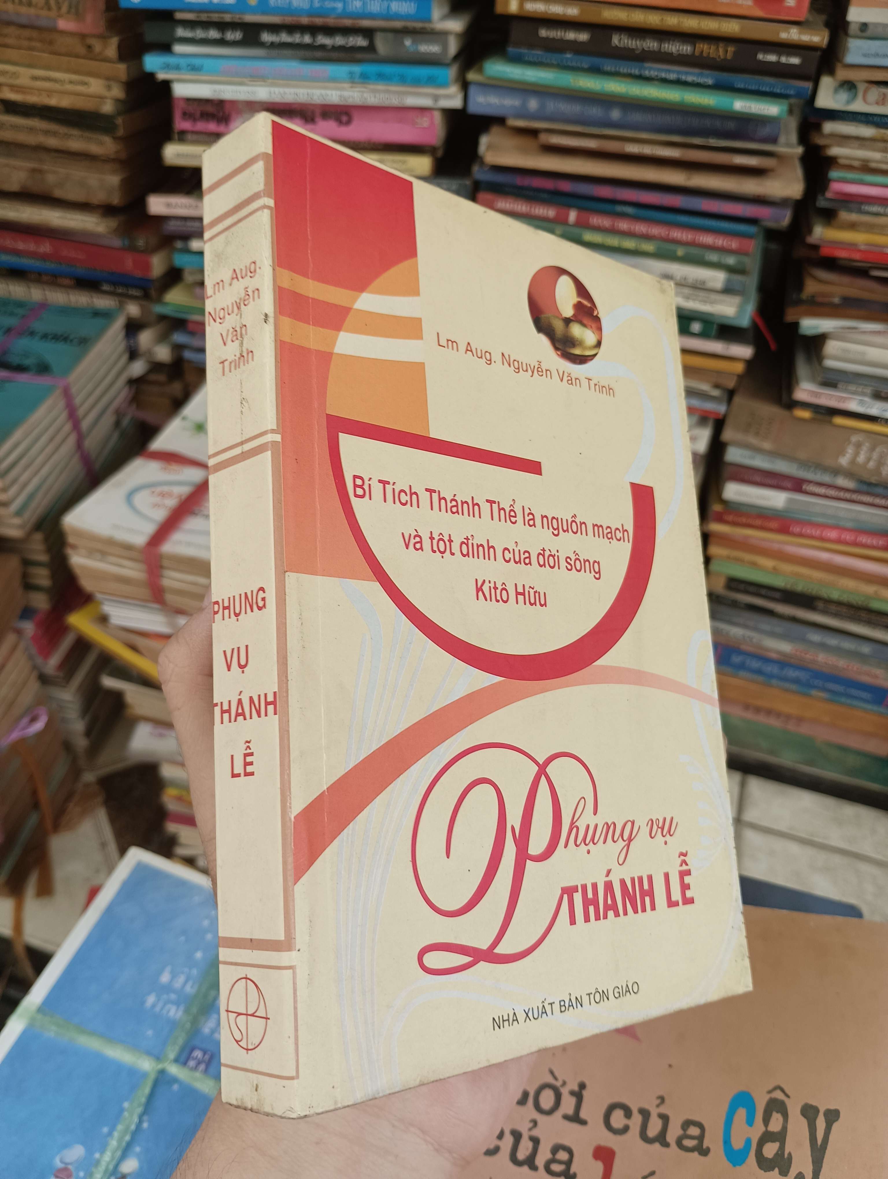 Phụng Vụ Thánh Lễ - Lm Aug. Nguyễn Văn Trinh (Sách tôn giáo - tâm linh) BGB