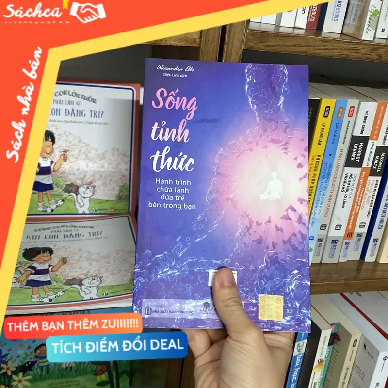 Sống tỉnh thức hành trình chữa lành đứa trẻ bên trong bạn (Sách kỹ năng) TSHT