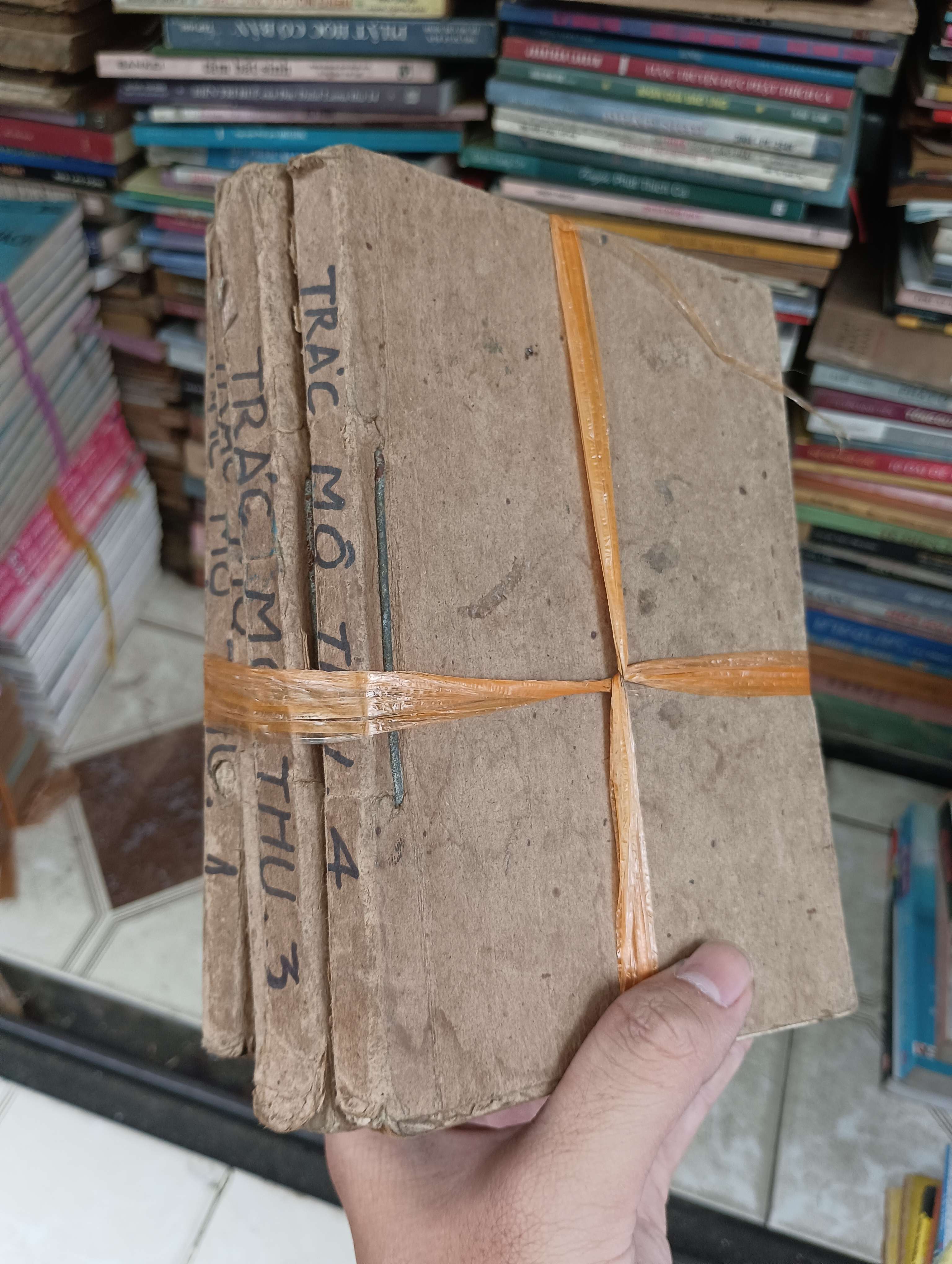 Trác Mộ Thu (Sách văn học) BGB