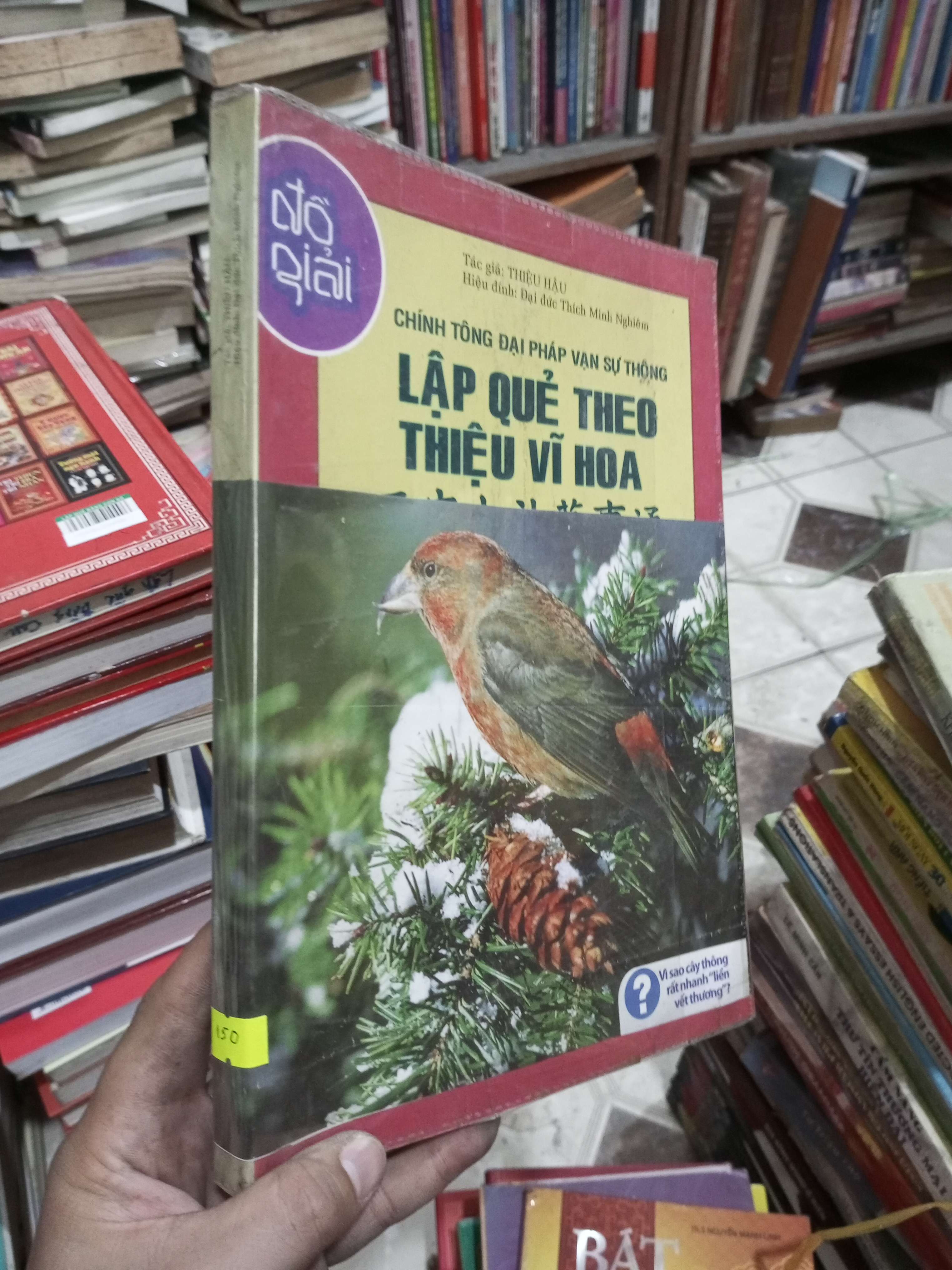 Lập quẻ theo Thiệu Vĩ Hoa (Chính tông đại pháp vạn sự thông) - Thiệu Hậu (Sách kiến thức tổng hợp) BGB