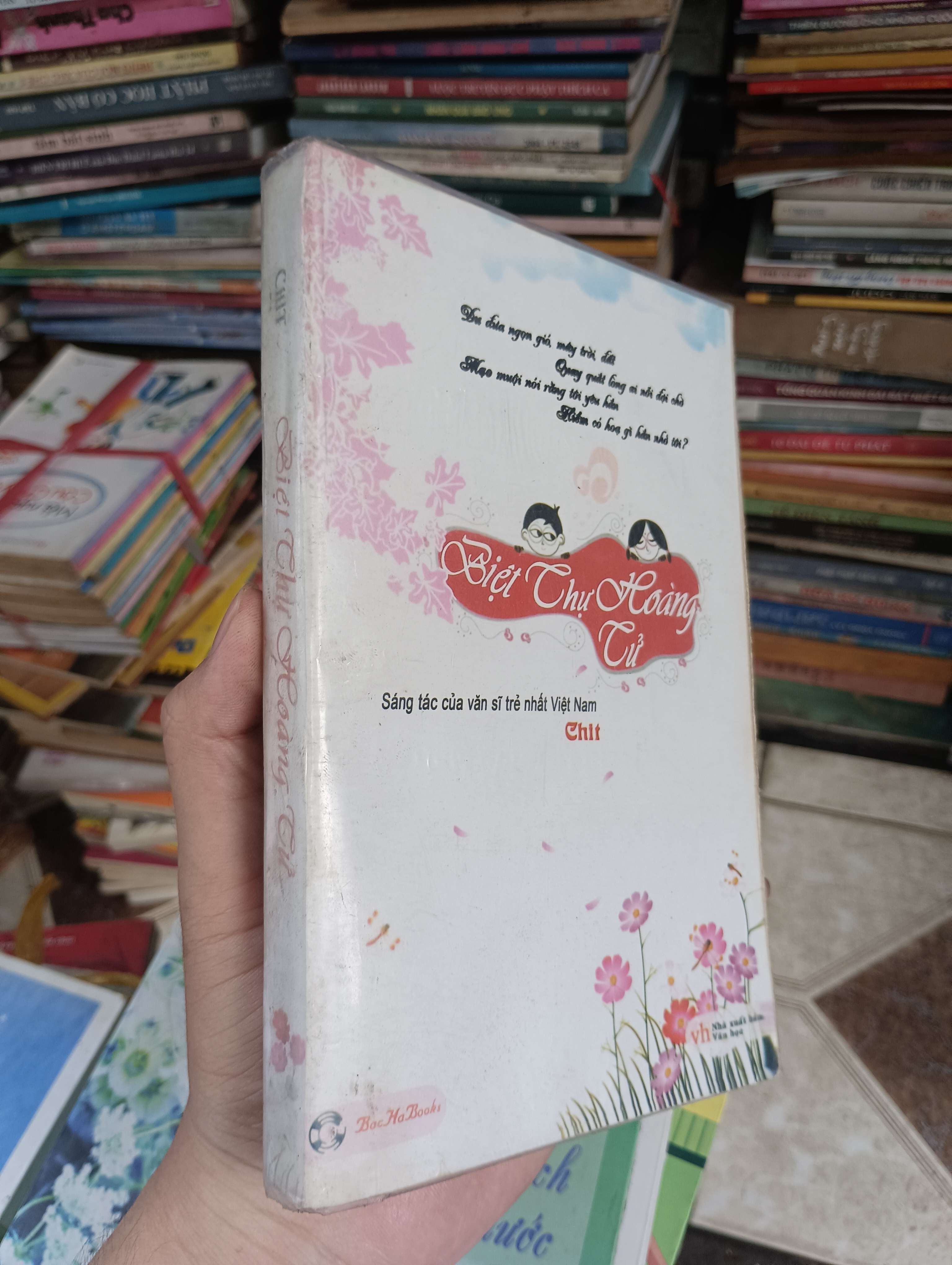 Biệt Thự Hoàng Tử (Tiểu Thuyết) BGB