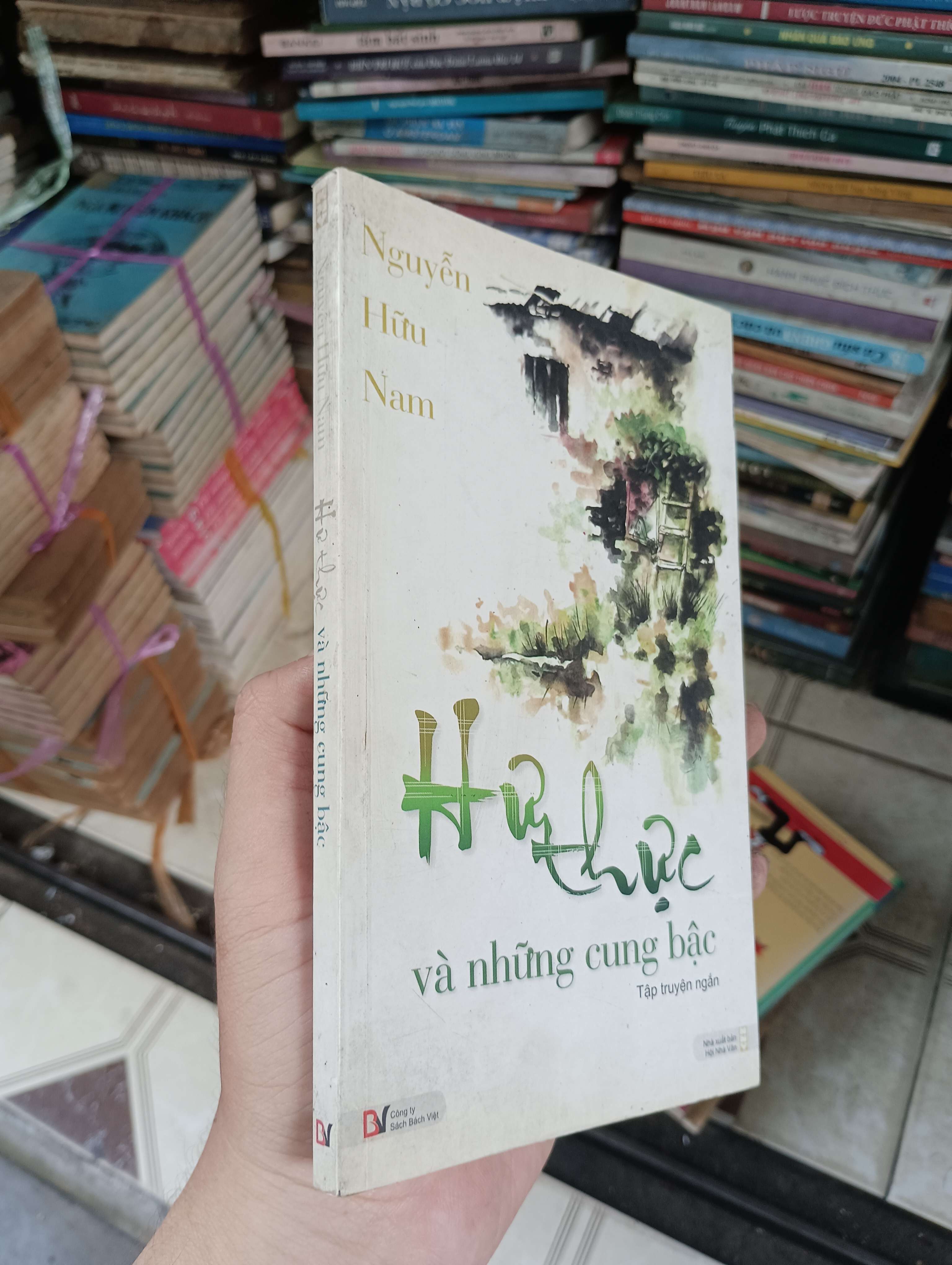 Hư thực và những cung bậc - Nguyễn Hữu Nam (Sách văn học) BGB